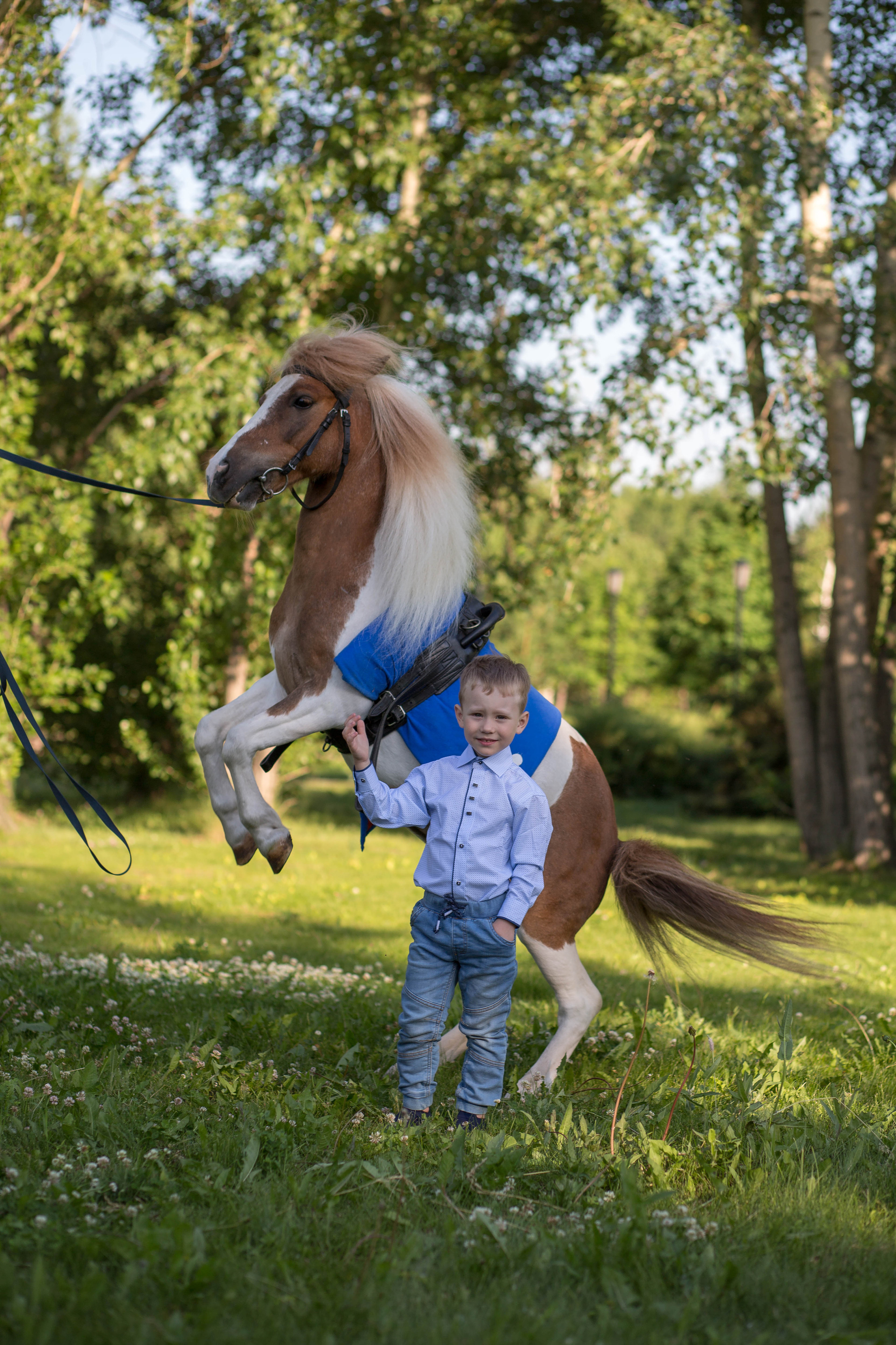 Пони и дети. Конный фотограф в Красноярске — Любовь Похабова