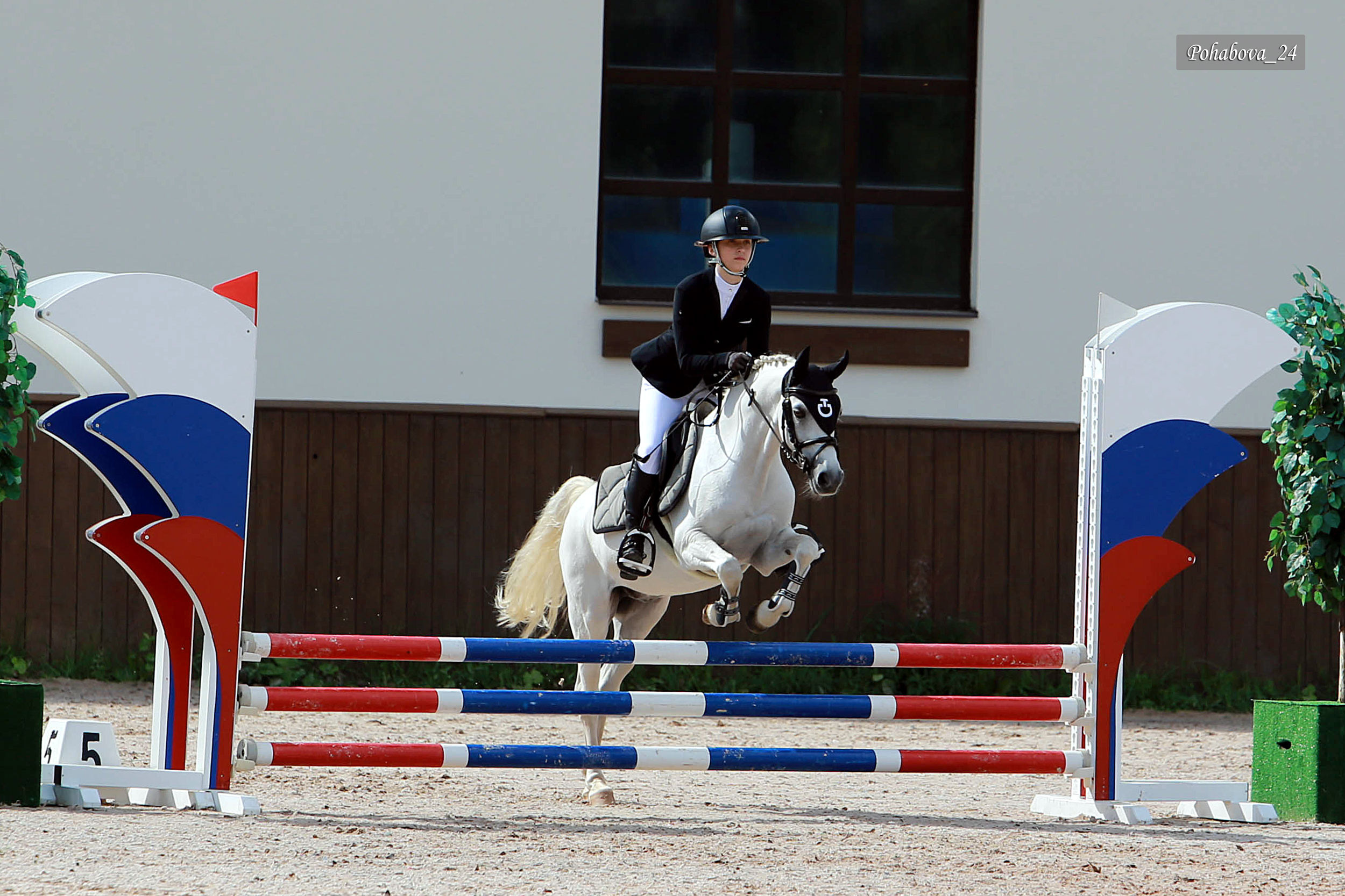 Г. СПБ КСК «Вента-Арена». Конный фотограф в Красноярске — Любовь Похабова