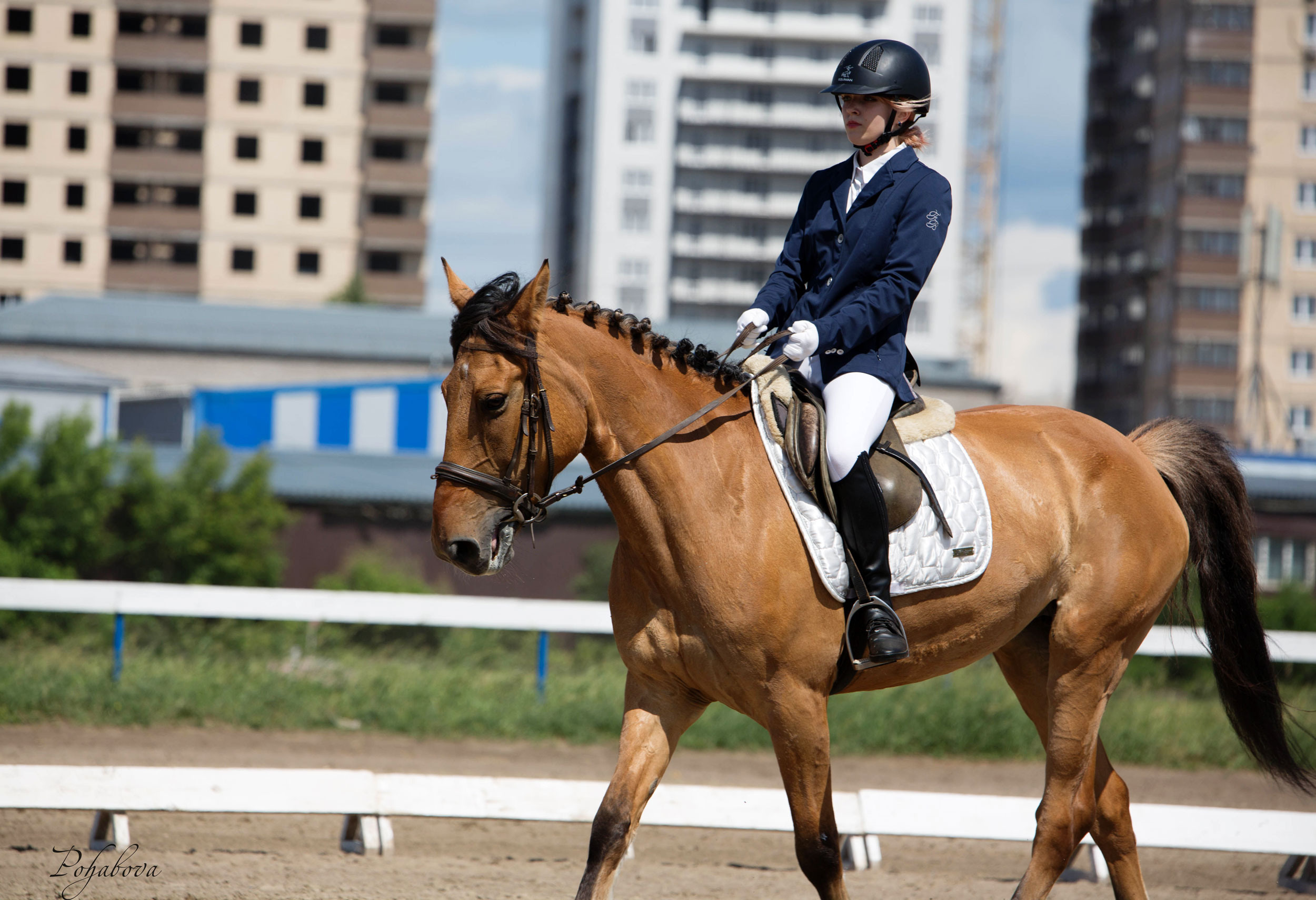 Оревнования 2023. Конный фотограф в Красноярске — Любовь Похабова
