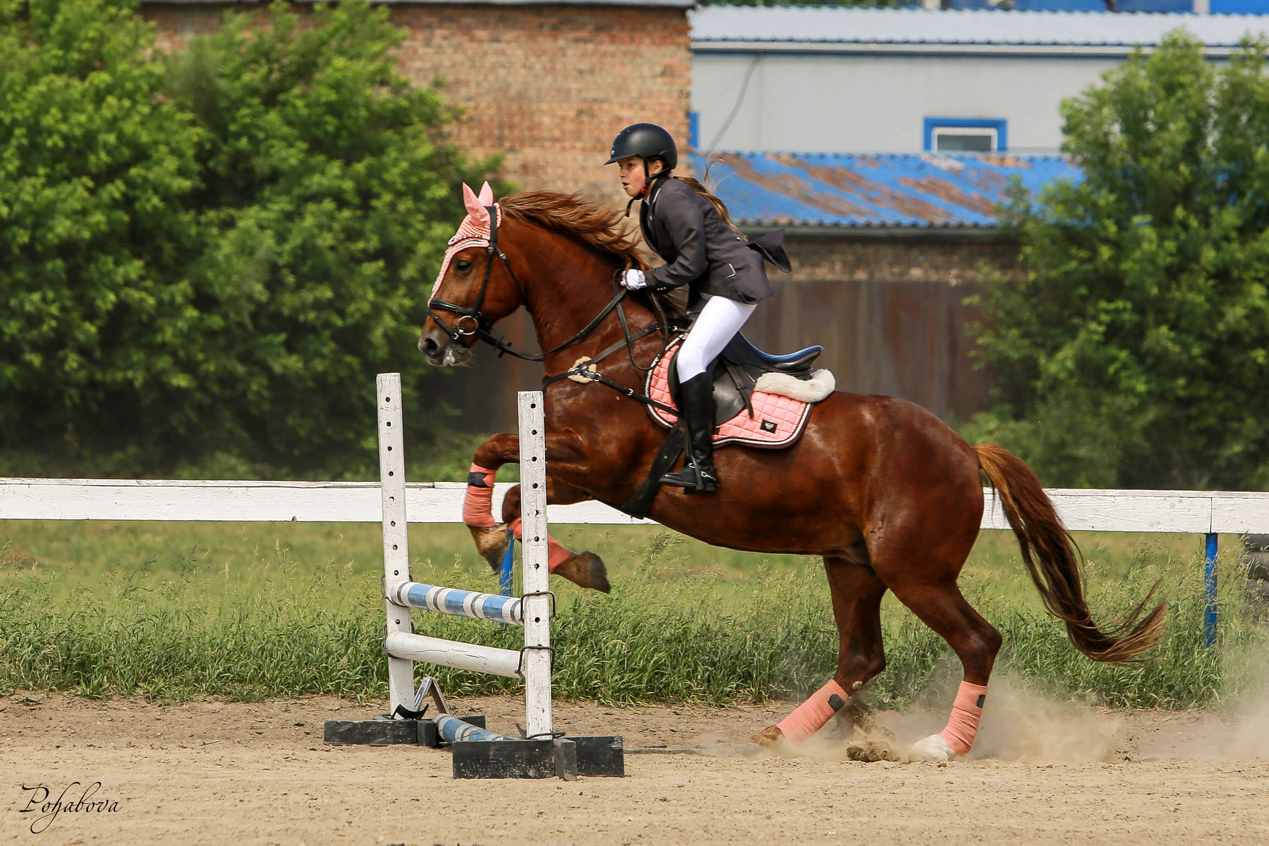 Оревнования 2023. Конный фотограф в Красноярске — Любовь Похабова
