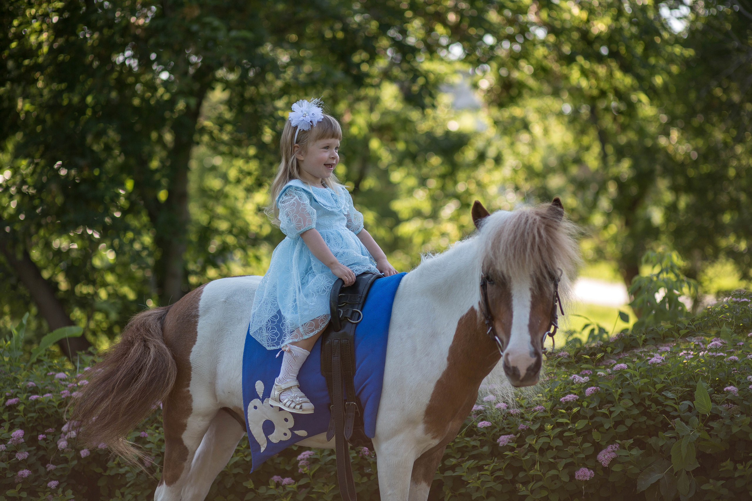 Пони и дети. Конный фотограф в Красноярске — Любовь Похабова