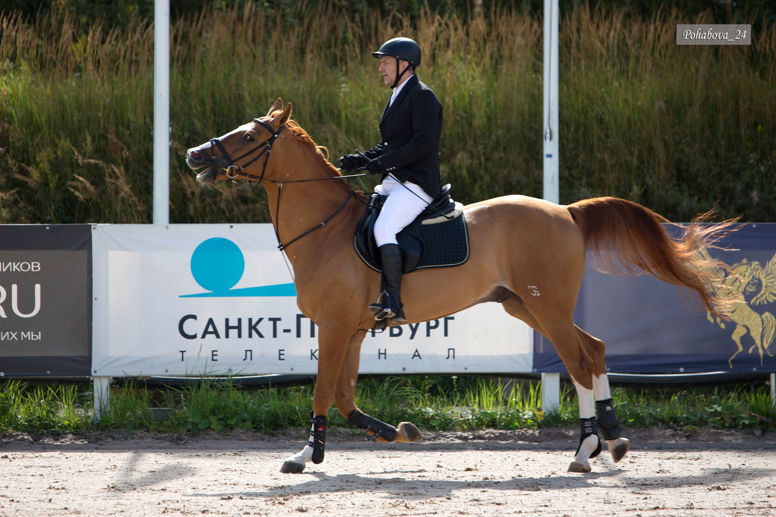 Г. СПБ КСК «Вента-Арена». Конный фотограф в Красноярске — Любовь Похабова