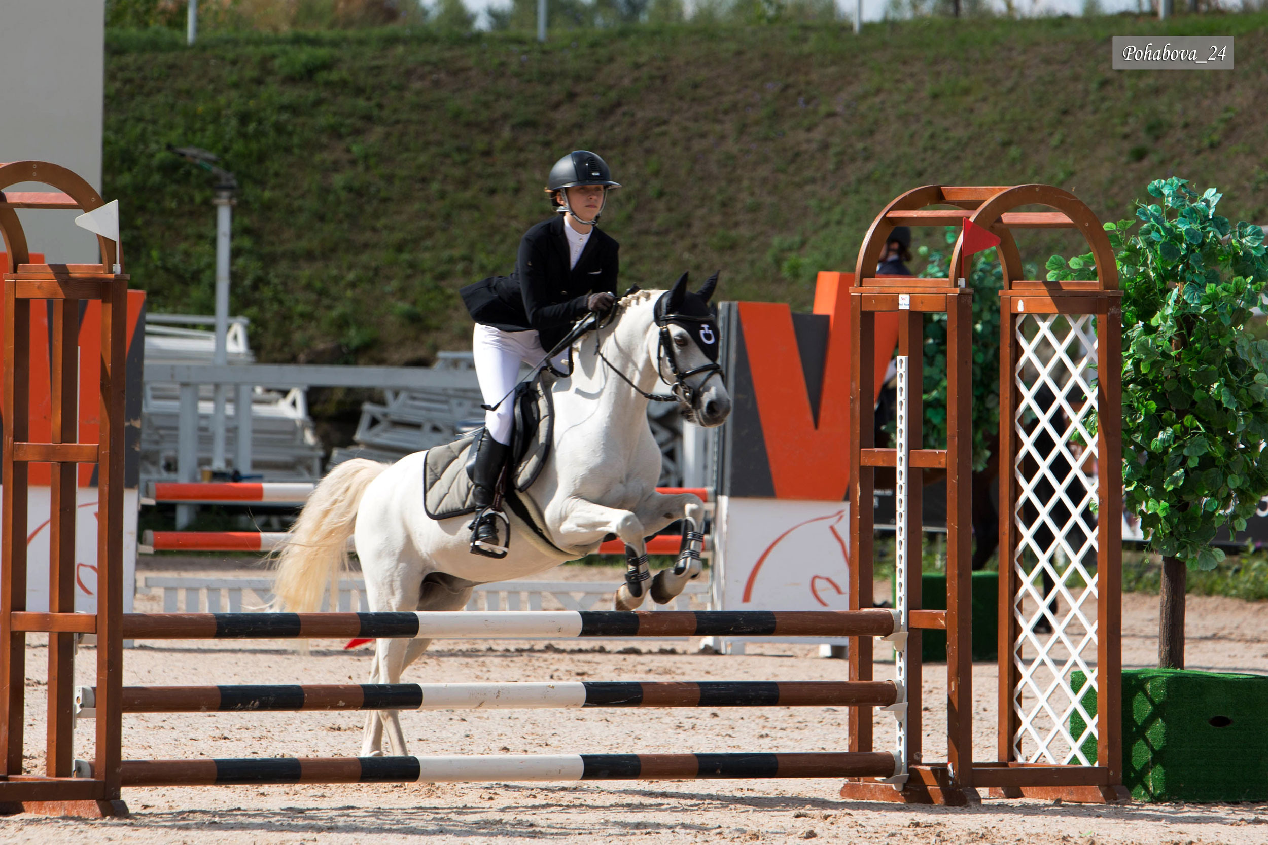 Г. СПБ КСК «Вента-Арена». Конный фотограф в Красноярске — Любовь Похабова