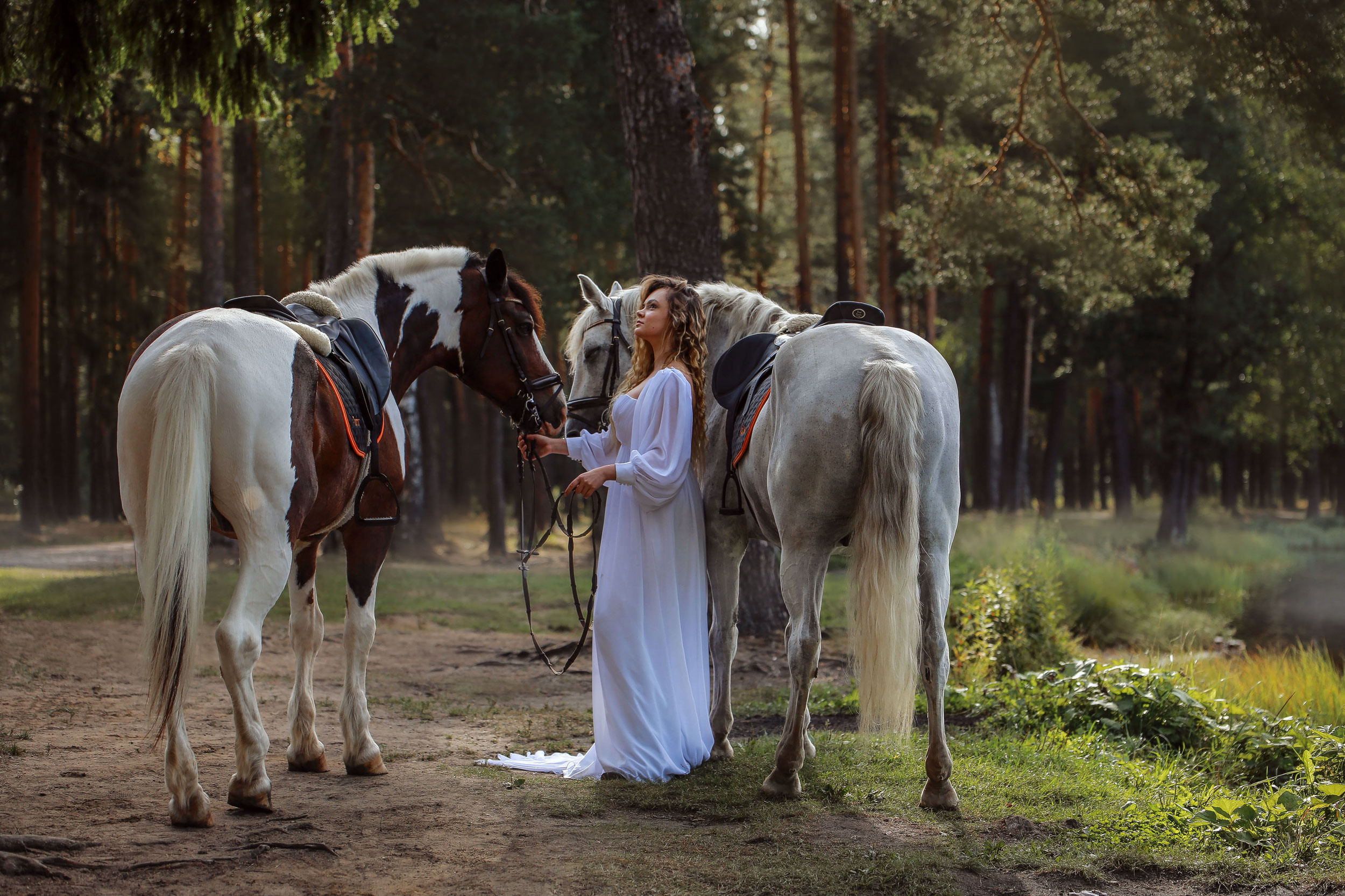 Г. СПБ КСК Ерельки. Конный фотограф в Красноярске — Любовь Похабова