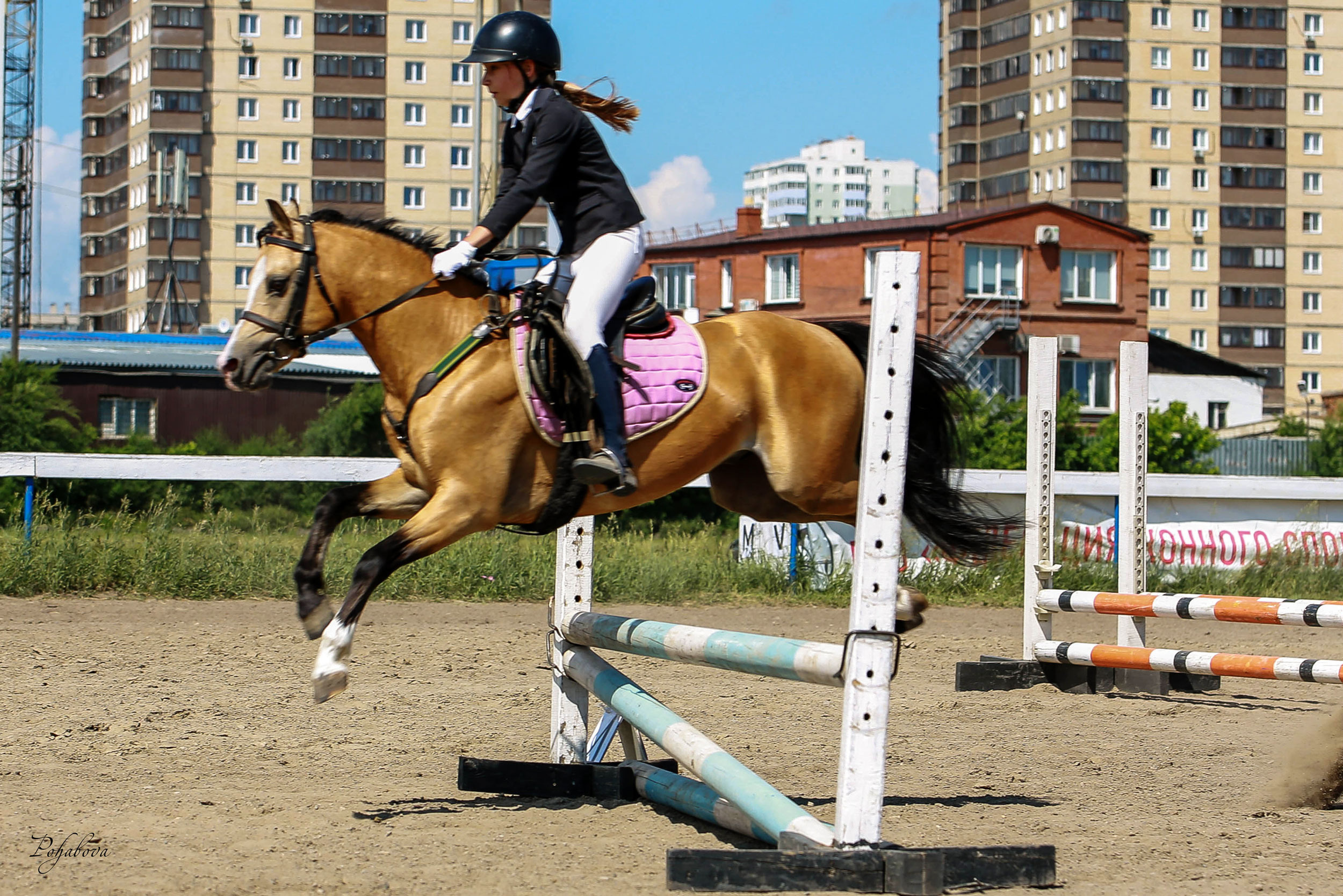 Оревнования 2023. Конный фотограф в Красноярске — Любовь Похабова