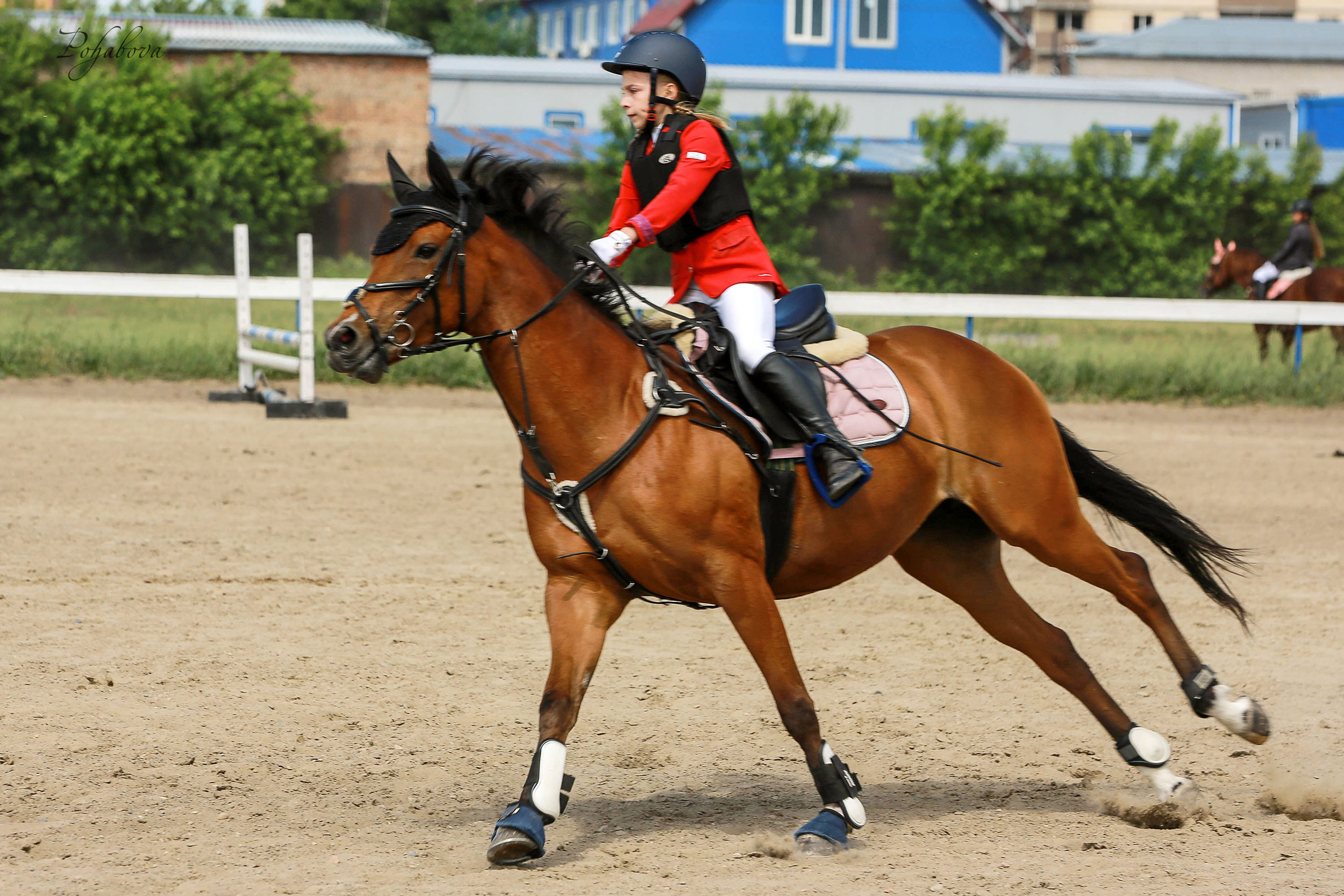 Оревнования 2023. Конный фотограф в Красноярске — Любовь Похабова