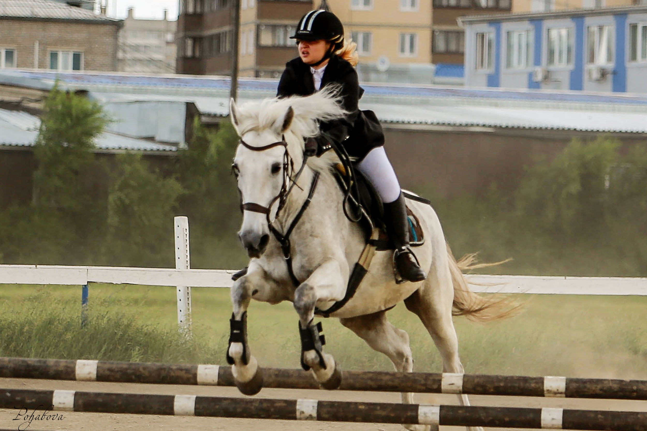 Оревнования 2023. Конный фотограф в Красноярске — Любовь Похабова