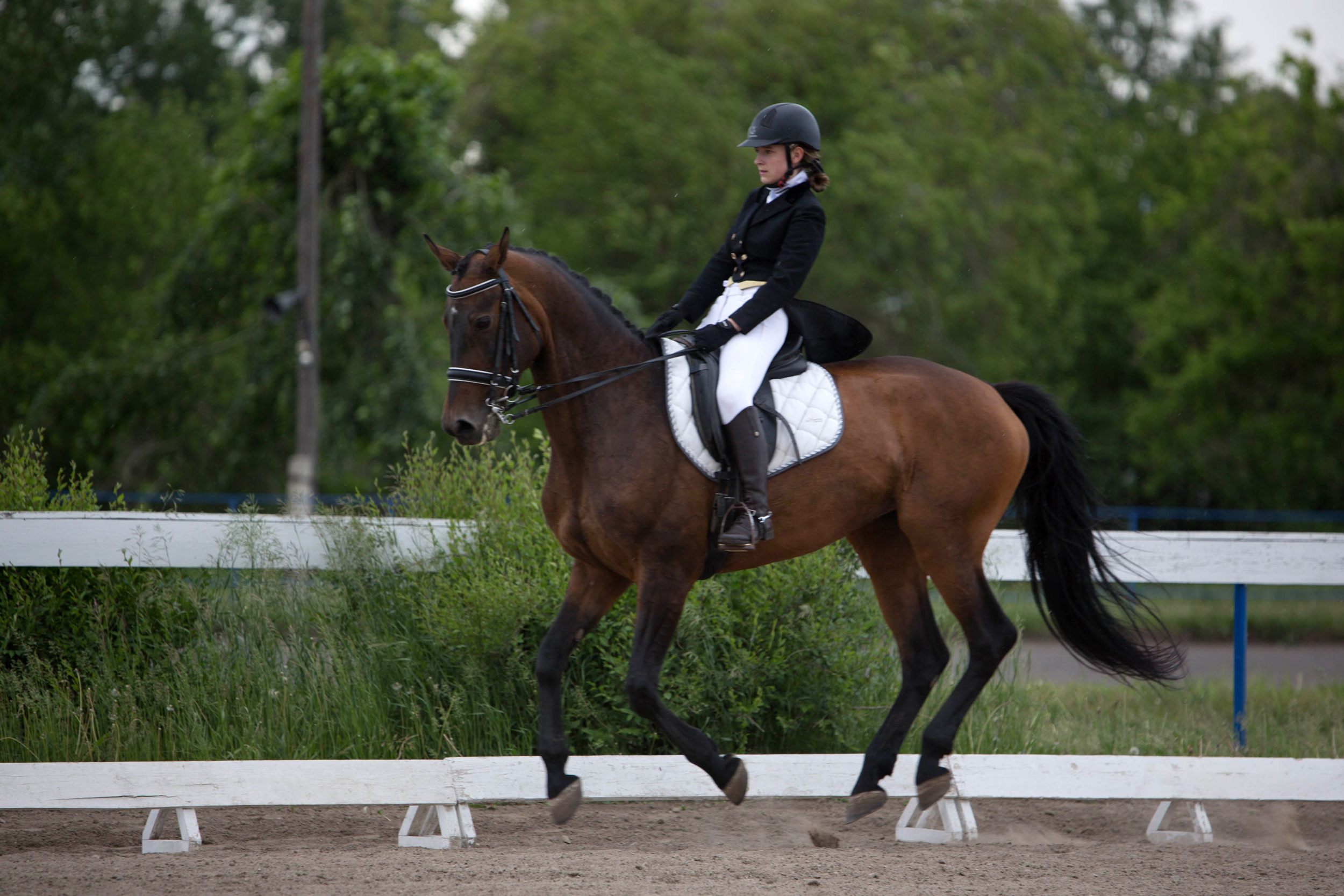 Оревнования 2023. Конный фотограф в Красноярске — Любовь Похабова