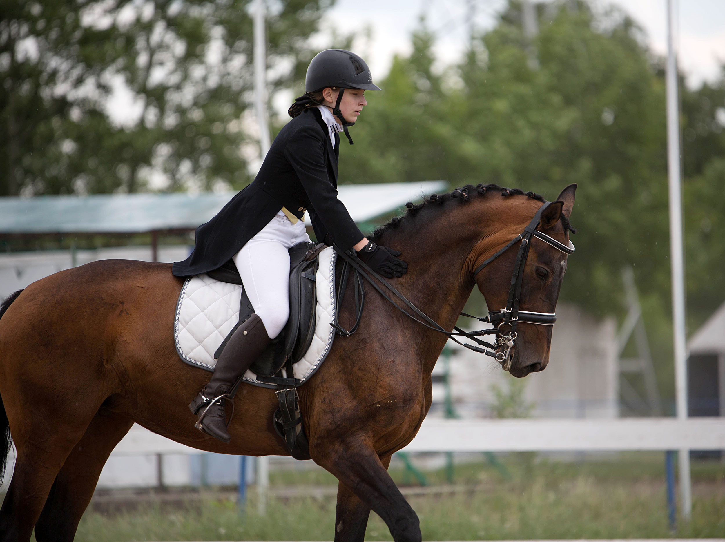 Оревнования 2023. Конный фотограф в Красноярске — Любовь Похабова