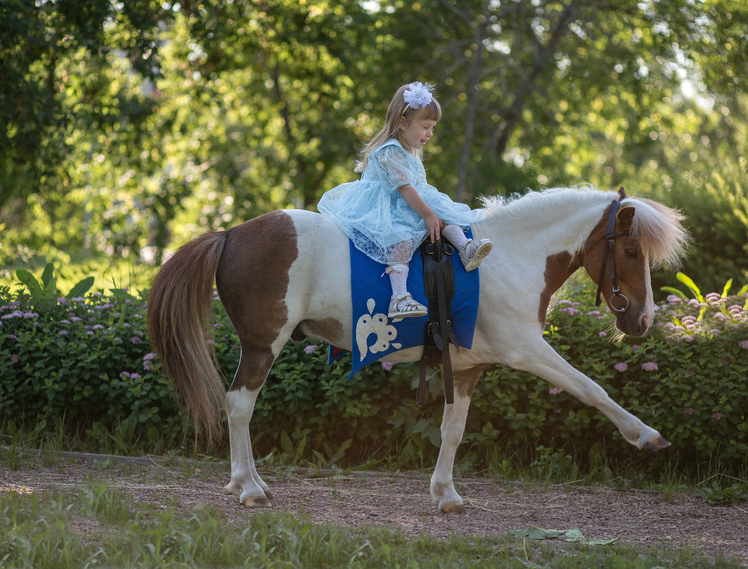 Пони и дети. Конный фотограф в Красноярске — Любовь Похабова
