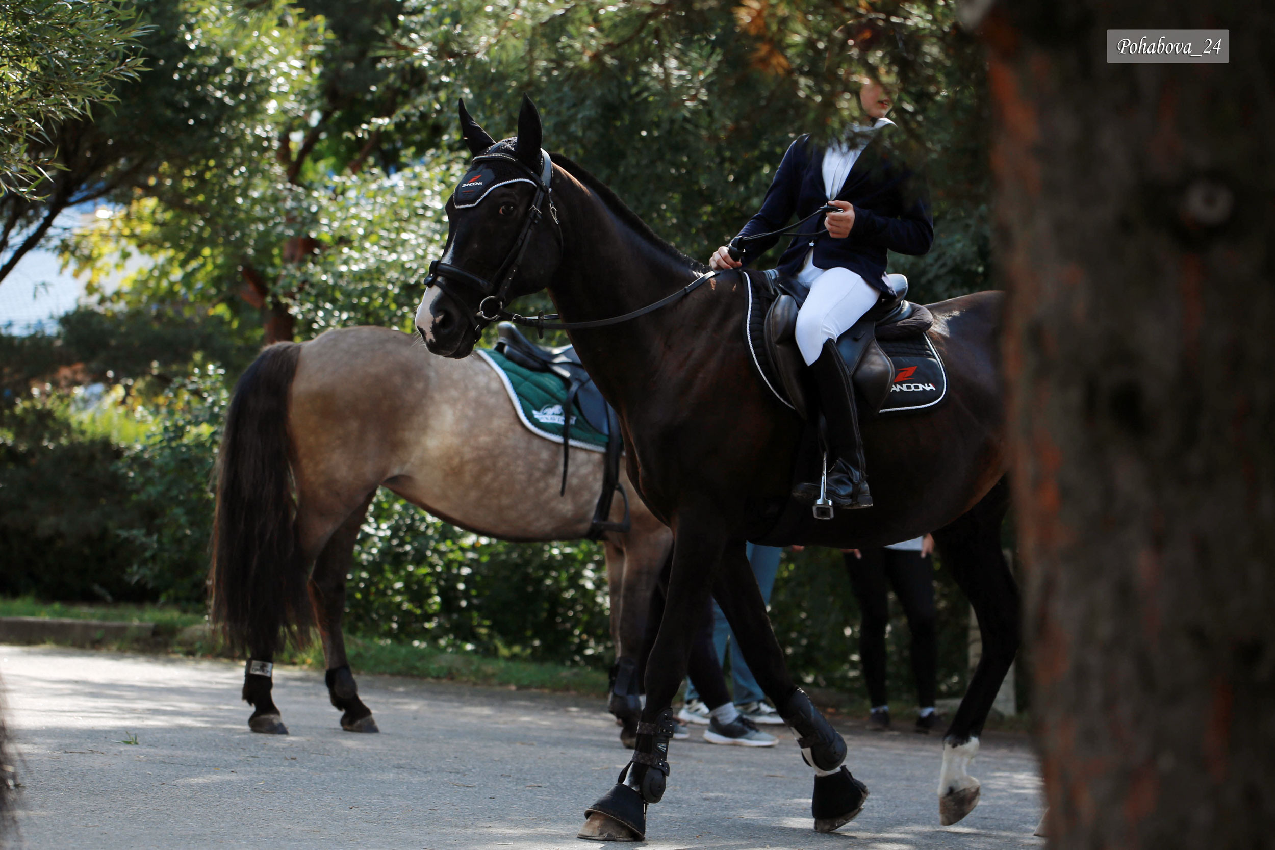 Г. СПБ КСК «Вента-Арена». Конный фотограф в Красноярске — Любовь Похабова