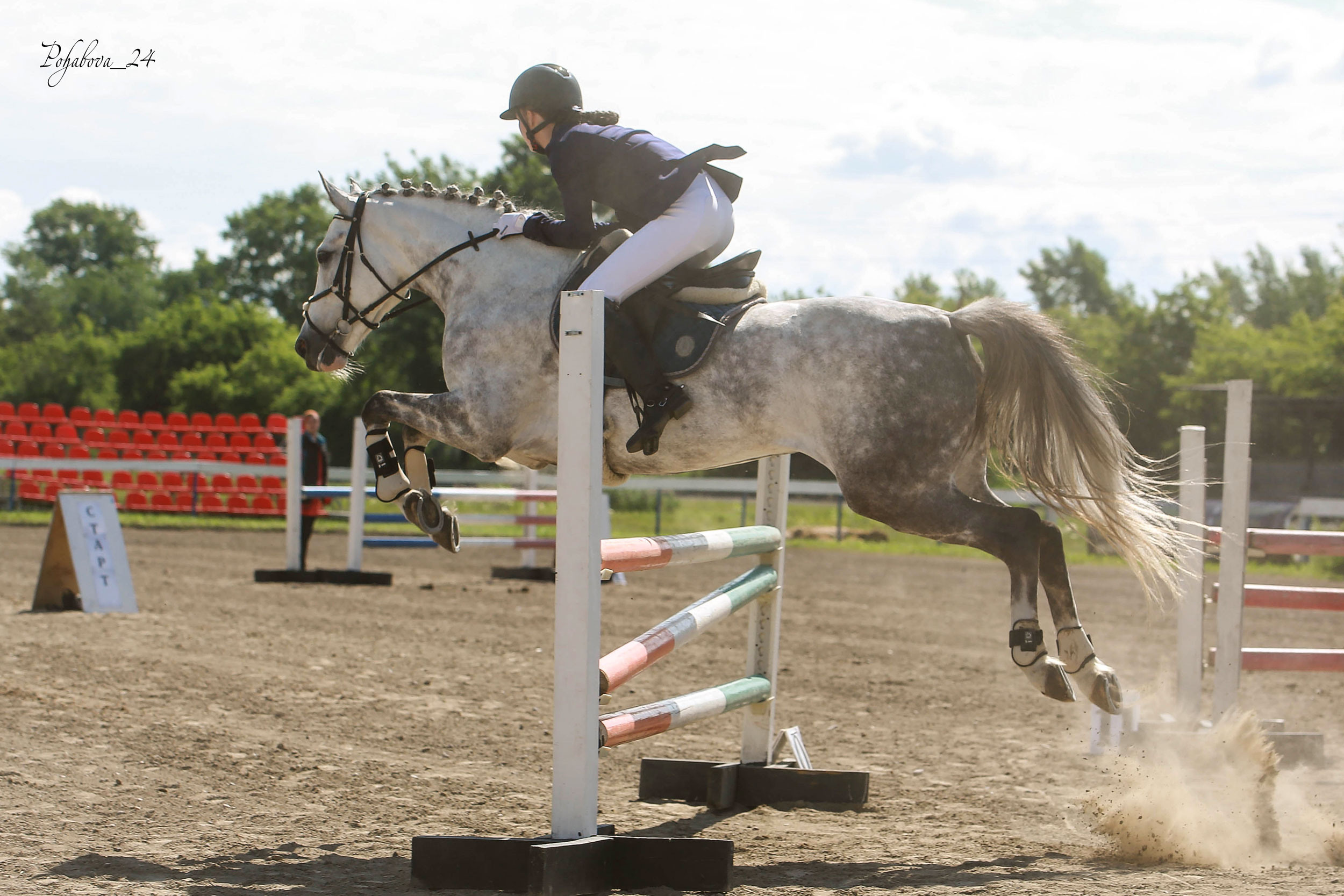 Оревнования 2023. Конный фотограф в Красноярске — Любовь Похабова