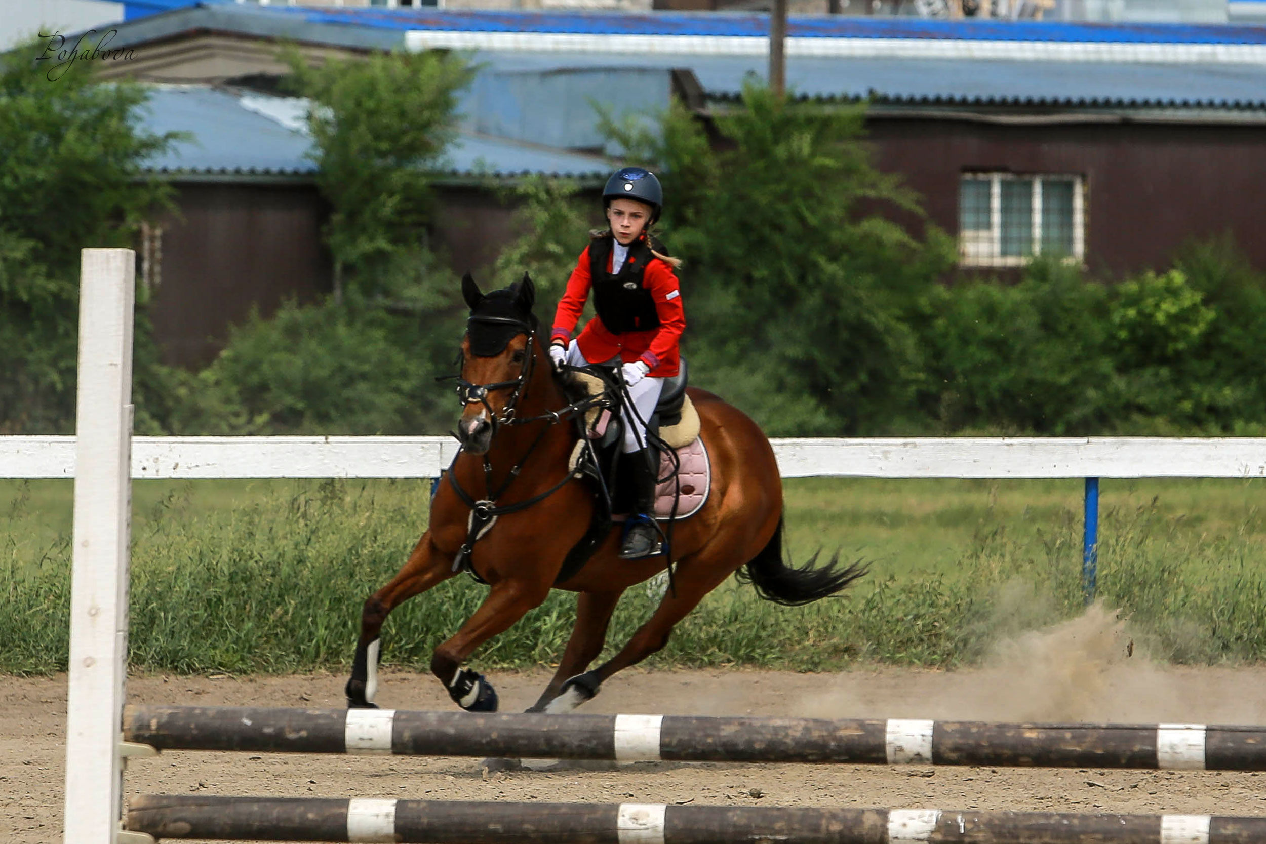 Оревнования 2023. Конный фотограф в Красноярске — Любовь Похабова