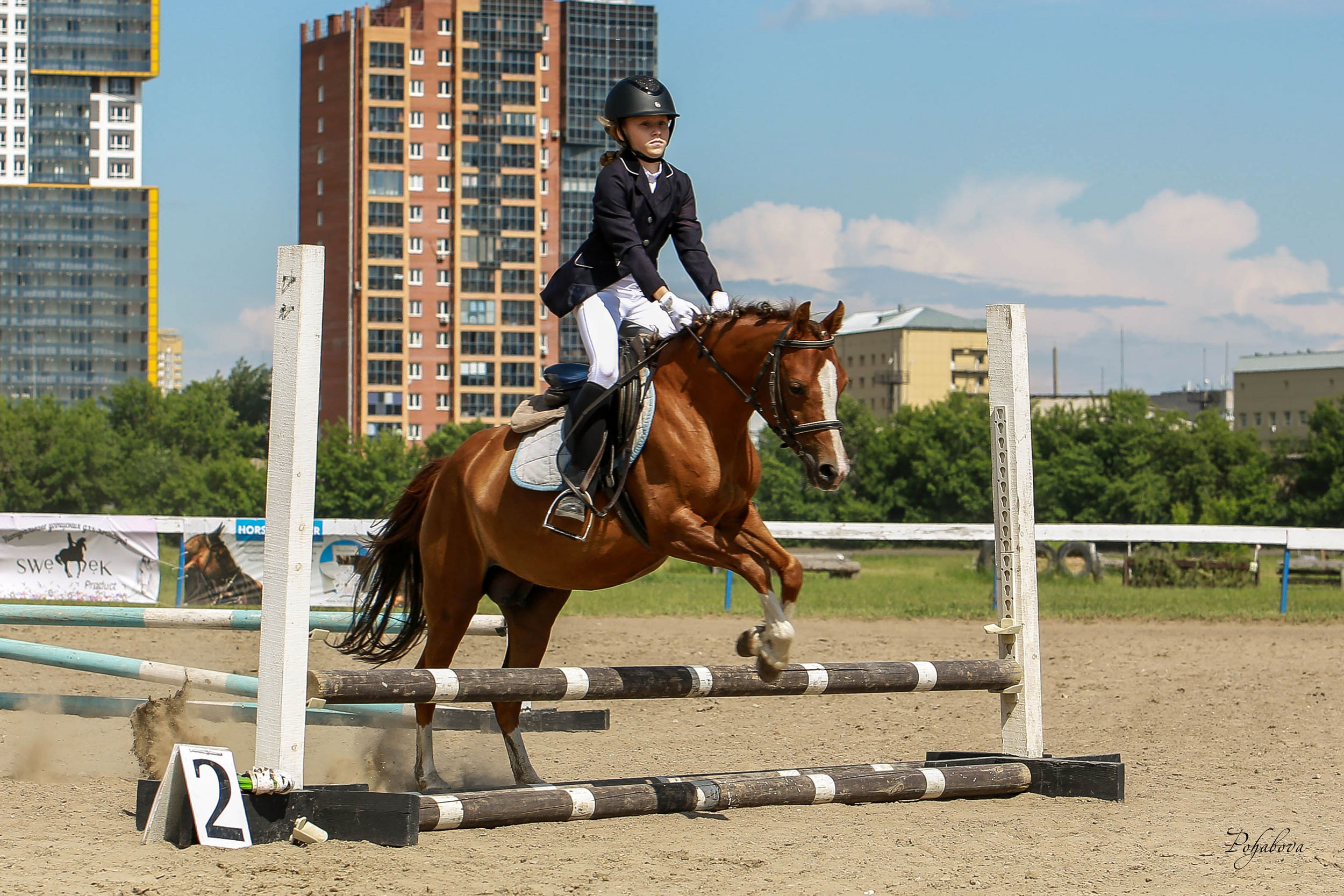Оревнования 2023. Конный фотограф в Красноярске — Любовь Похабова