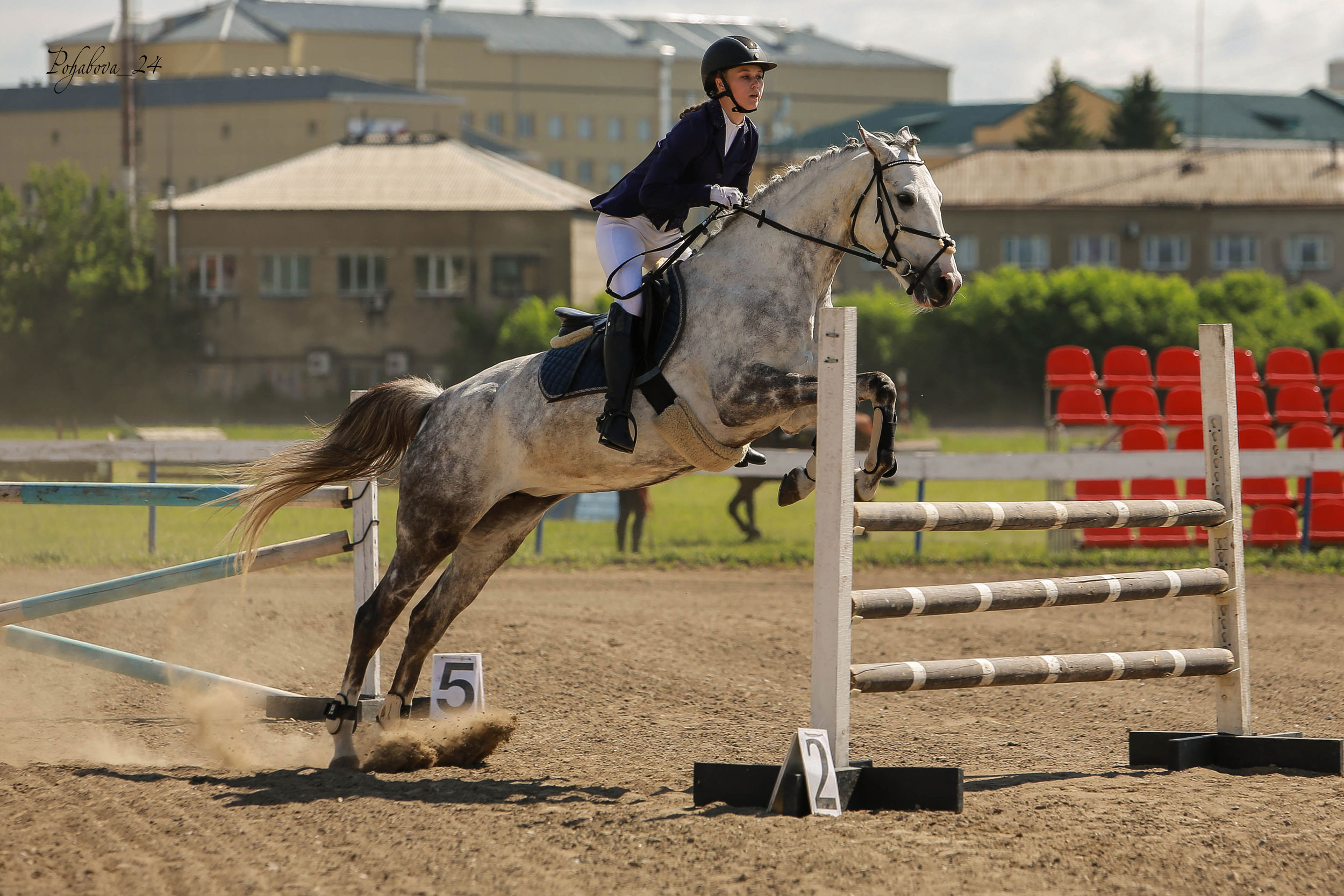Оревнования 2023. Конный фотограф в Красноярске — Любовь Похабова