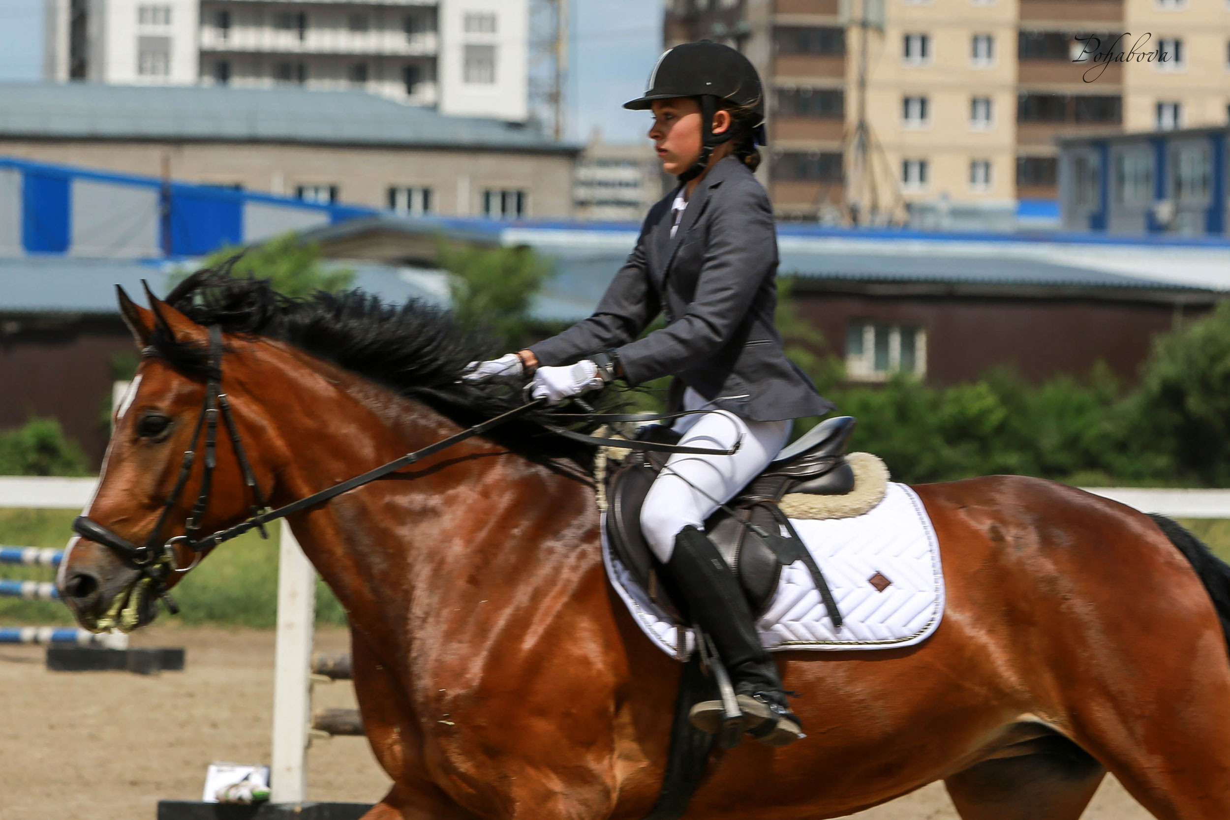 Оревнования 2023. Конный фотограф в Красноярске — Любовь Похабова