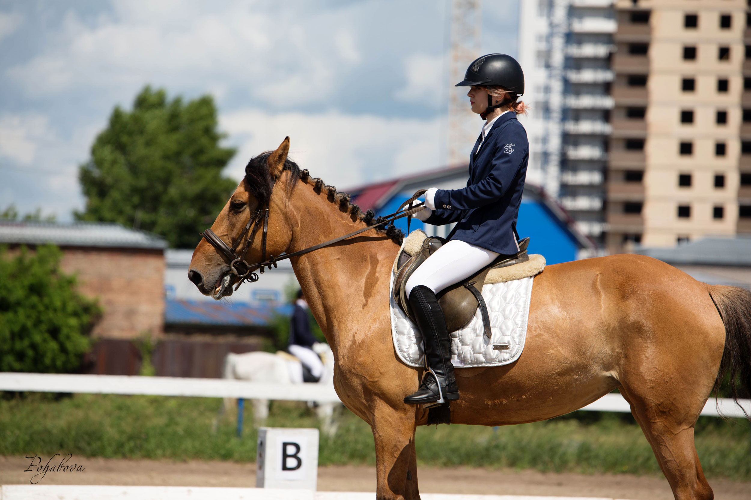 Оревнования 2023. Конный фотограф в Красноярске — Любовь Похабова
