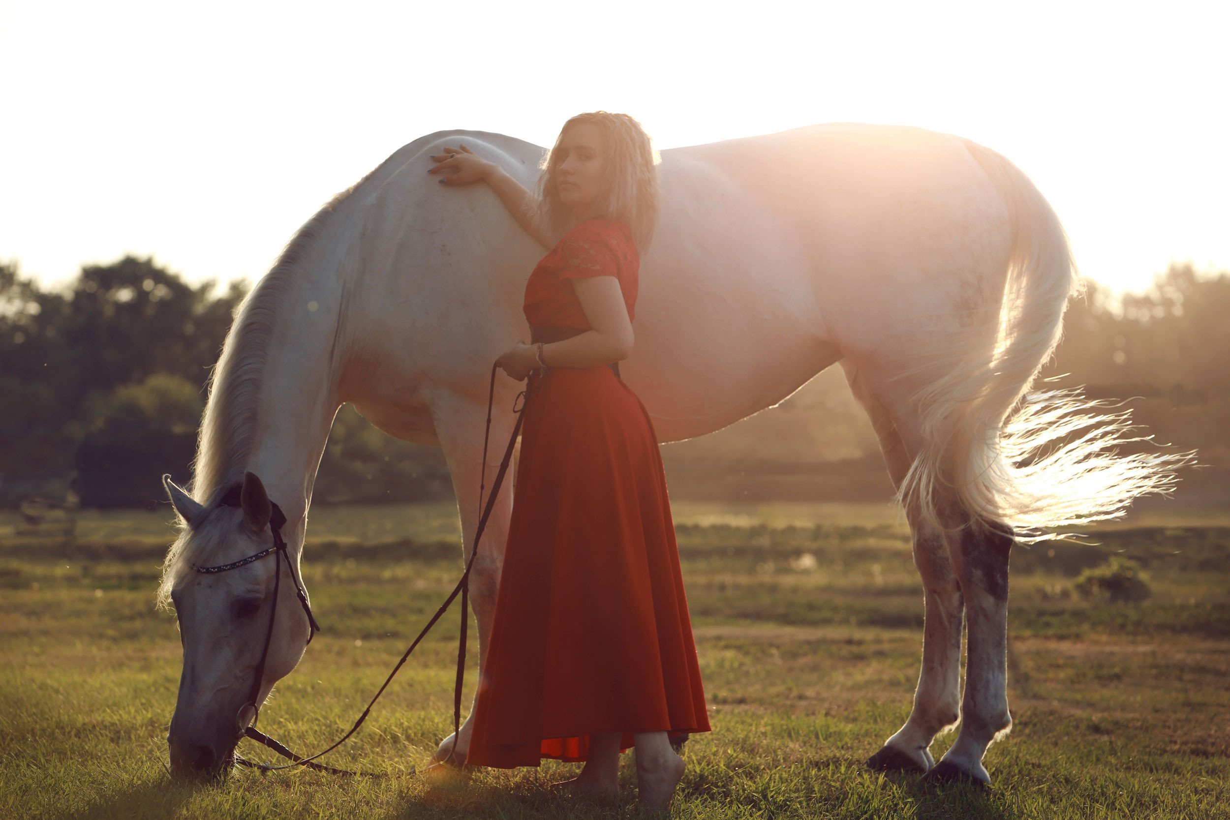 Красноярский ип-м. Конный фотограф в Красноярске — Любовь Похабова