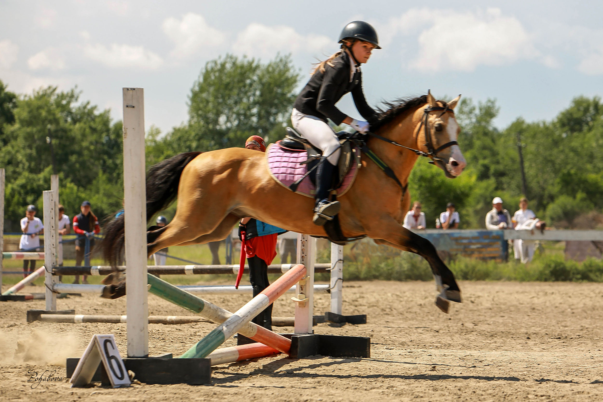 Оревнования 2023. Конный фотограф в Красноярске — Любовь Похабова