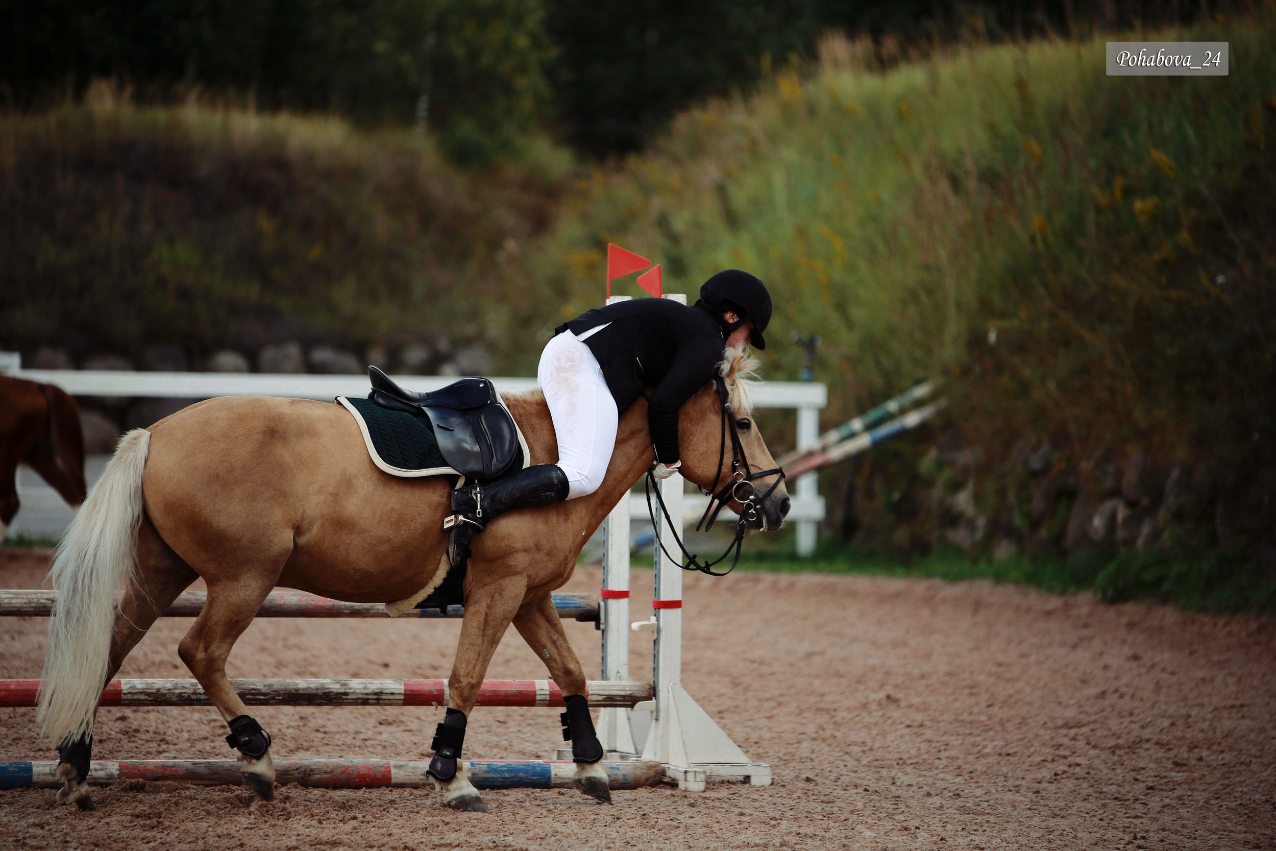 Г. СПБ КСК «Вента-Арена». Конный фотограф в Красноярске — Любовь Похабова
