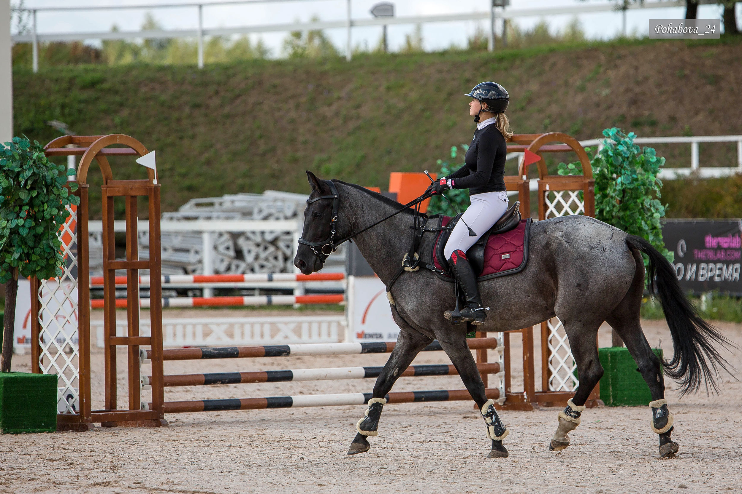 Г. СПБ КСК «Вента-Арена». Конный фотограф в Красноярске — Любовь Похабова