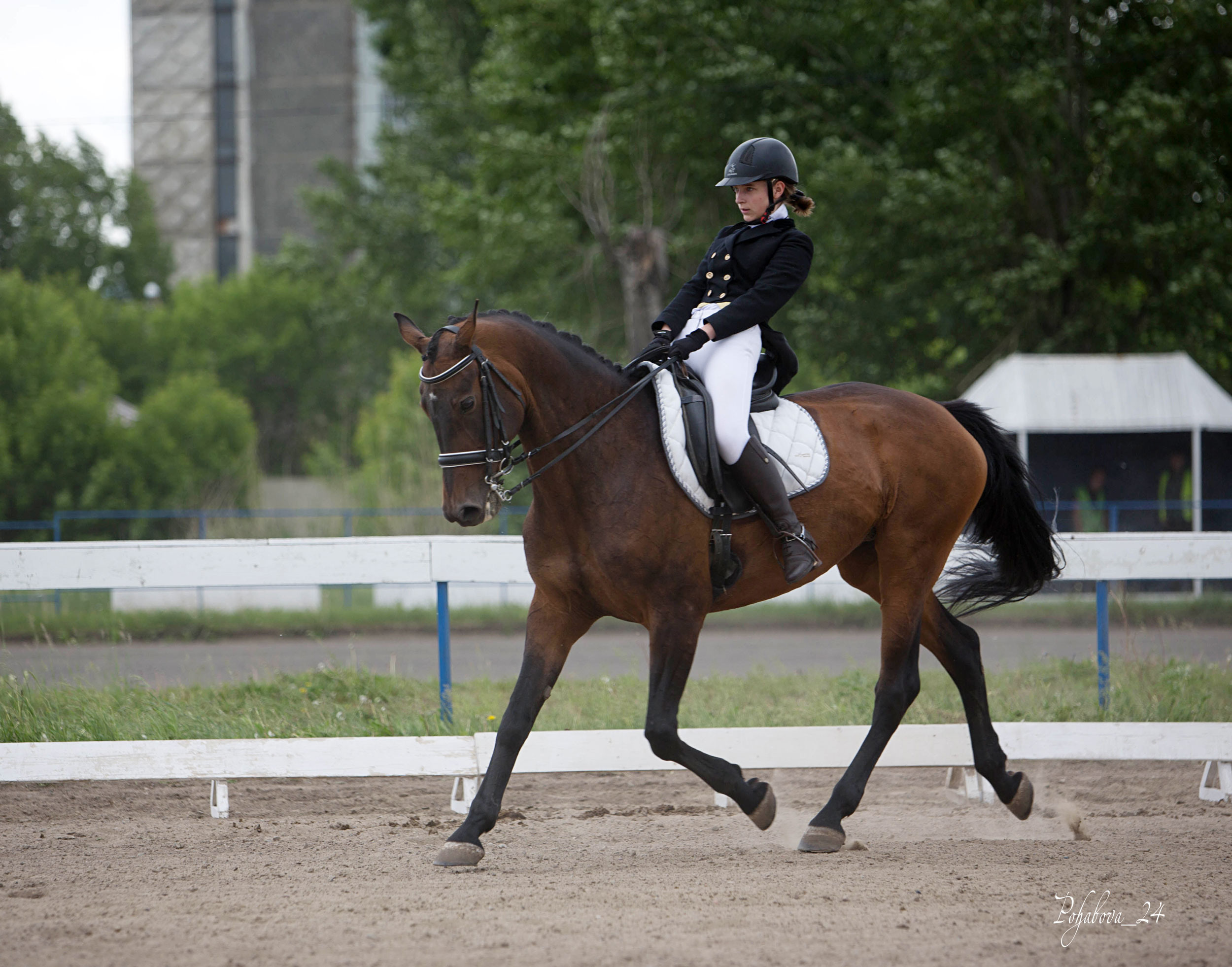 Оревнования 2023. Конный фотограф в Красноярске — Любовь Похабова