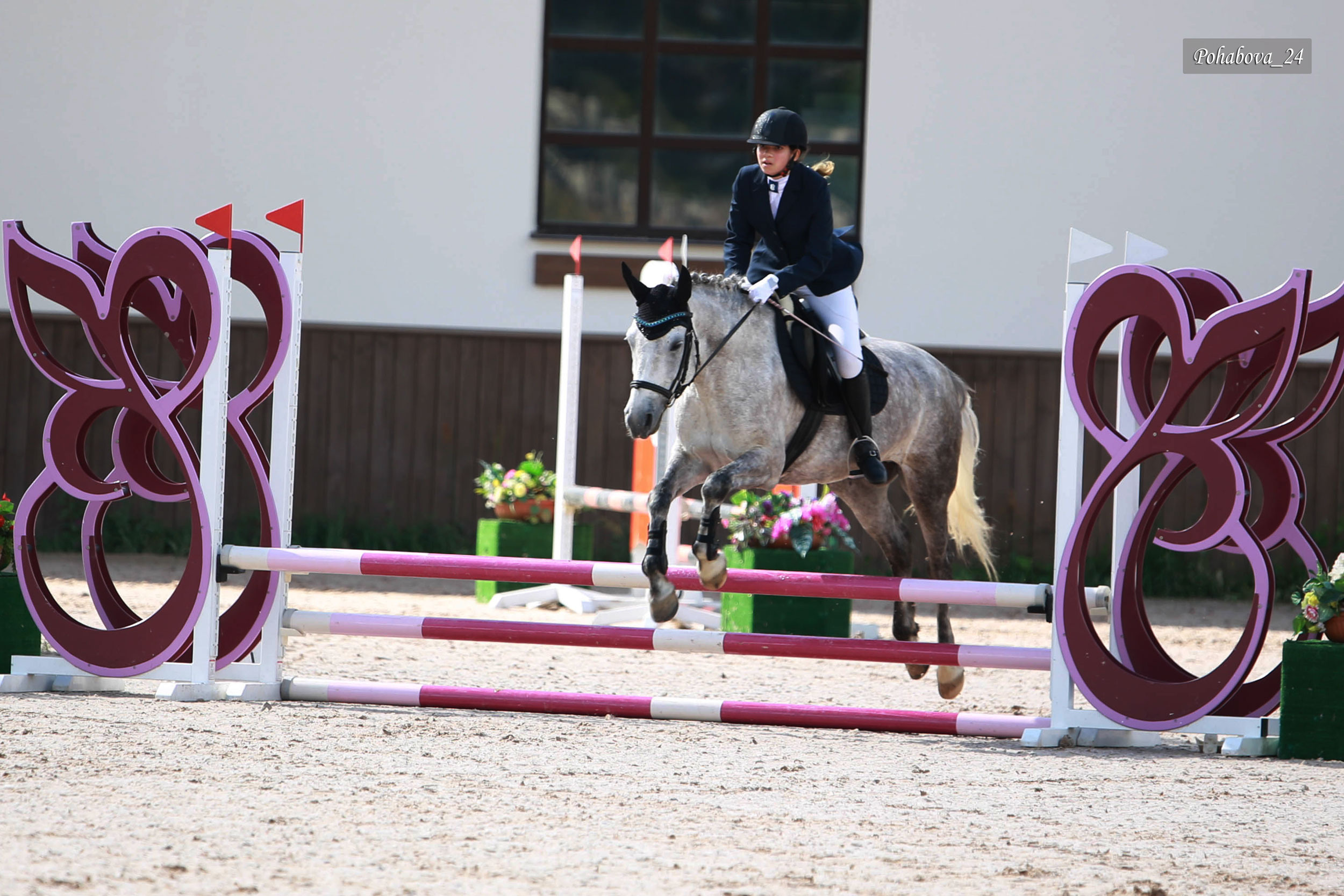 Г. СПБ КСК «Вента-Арена». Конный фотограф в Красноярске — Любовь Похабова