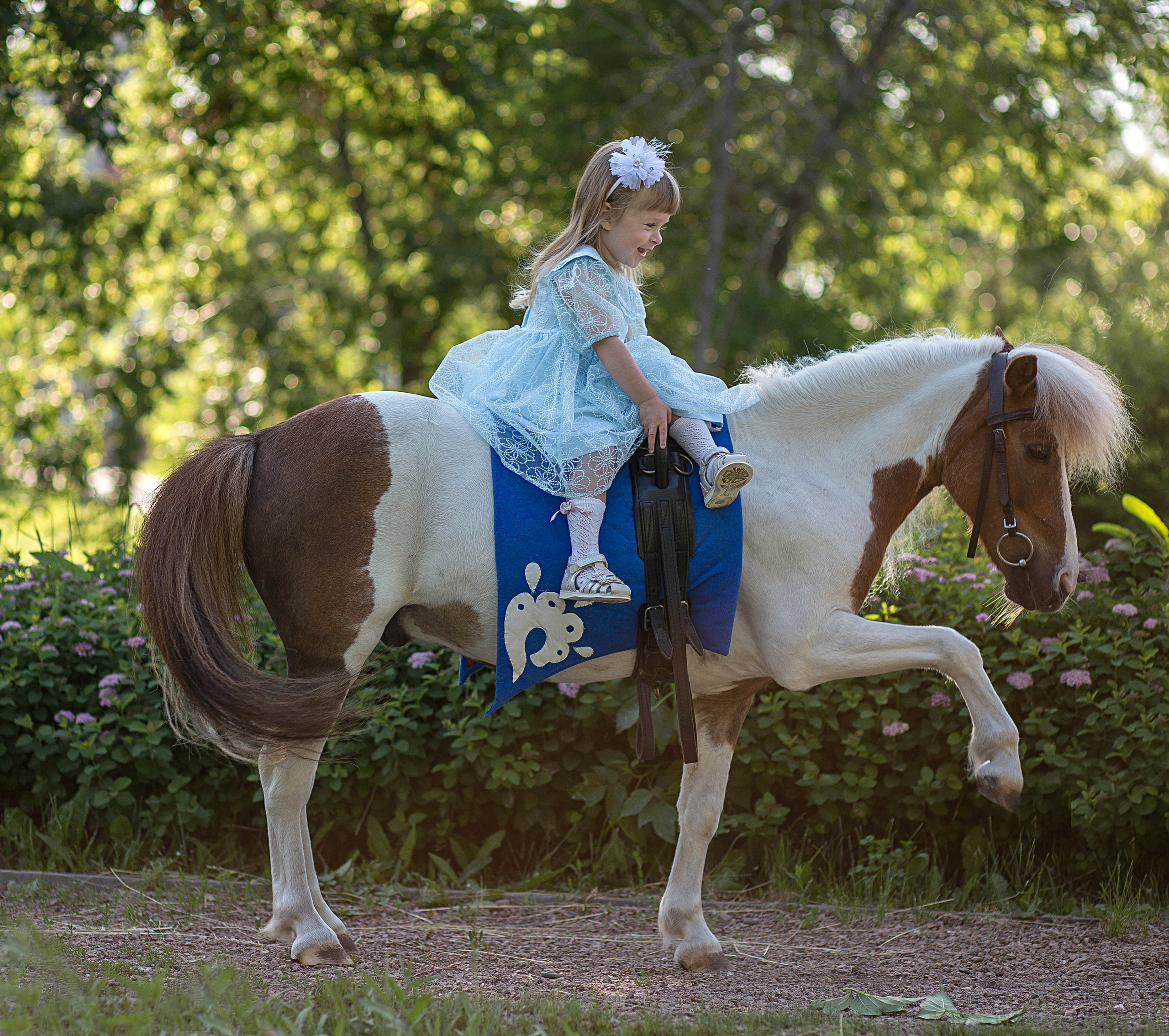 Пони и дети. Конный фотограф в Красноярске — Любовь Похабова