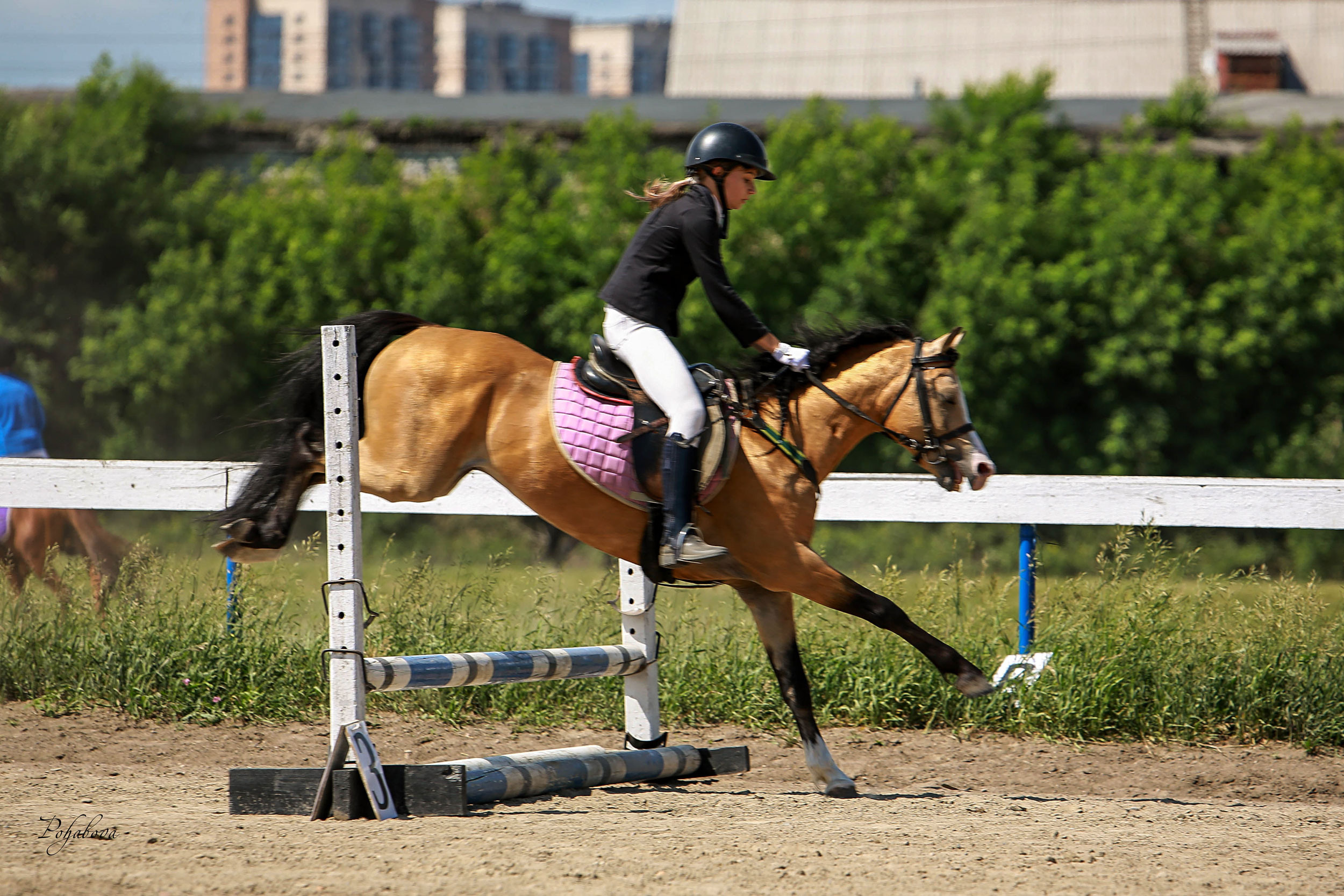 Оревнования 2023. Конный фотограф в Красноярске — Любовь Похабова