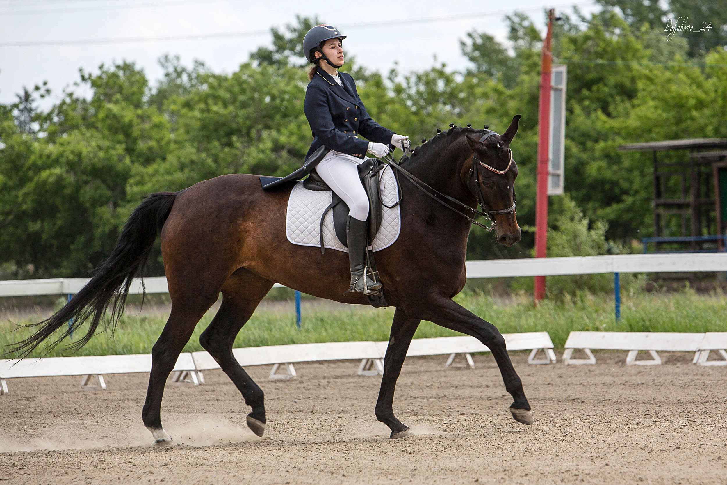 Оревнования 2023. Конный фотограф в Красноярске — Любовь Похабова
