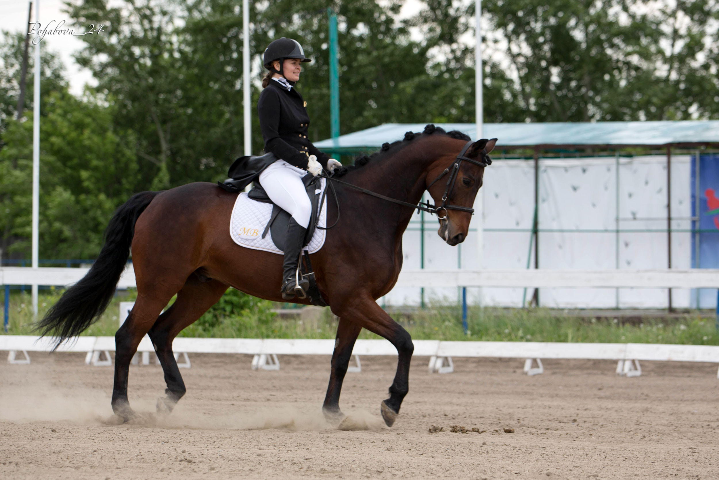 Оревнования 2023. Конный фотограф в Красноярске — Любовь Похабова