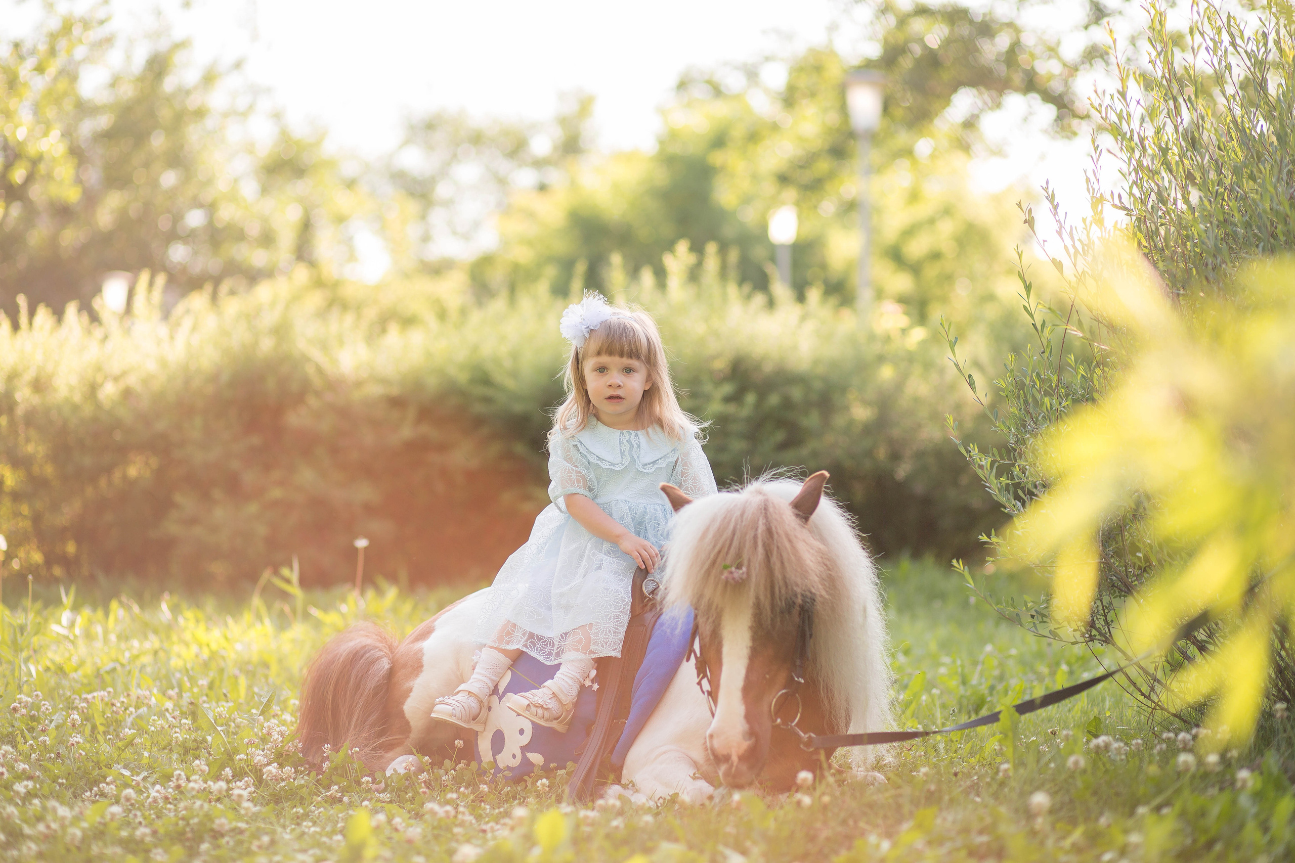 Пони и дети. Конный фотограф в Красноярске — Любовь Похабова