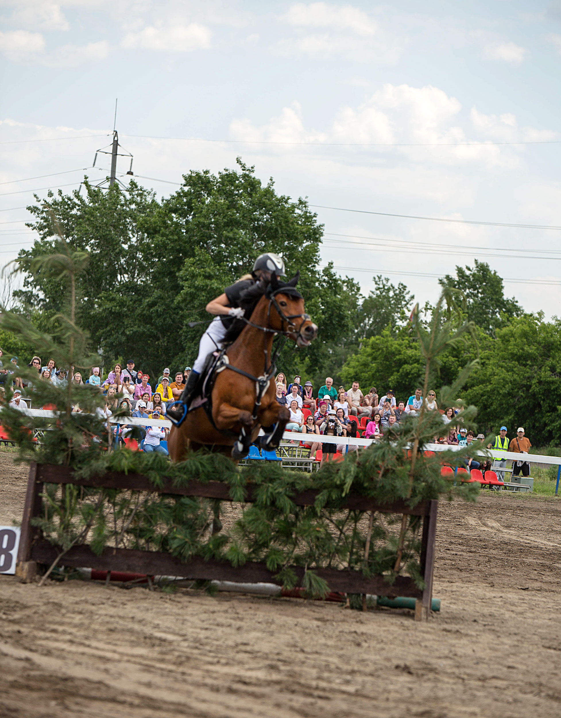 Оревнования 2023. Конный фотограф в Красноярске — Любовь Похабова