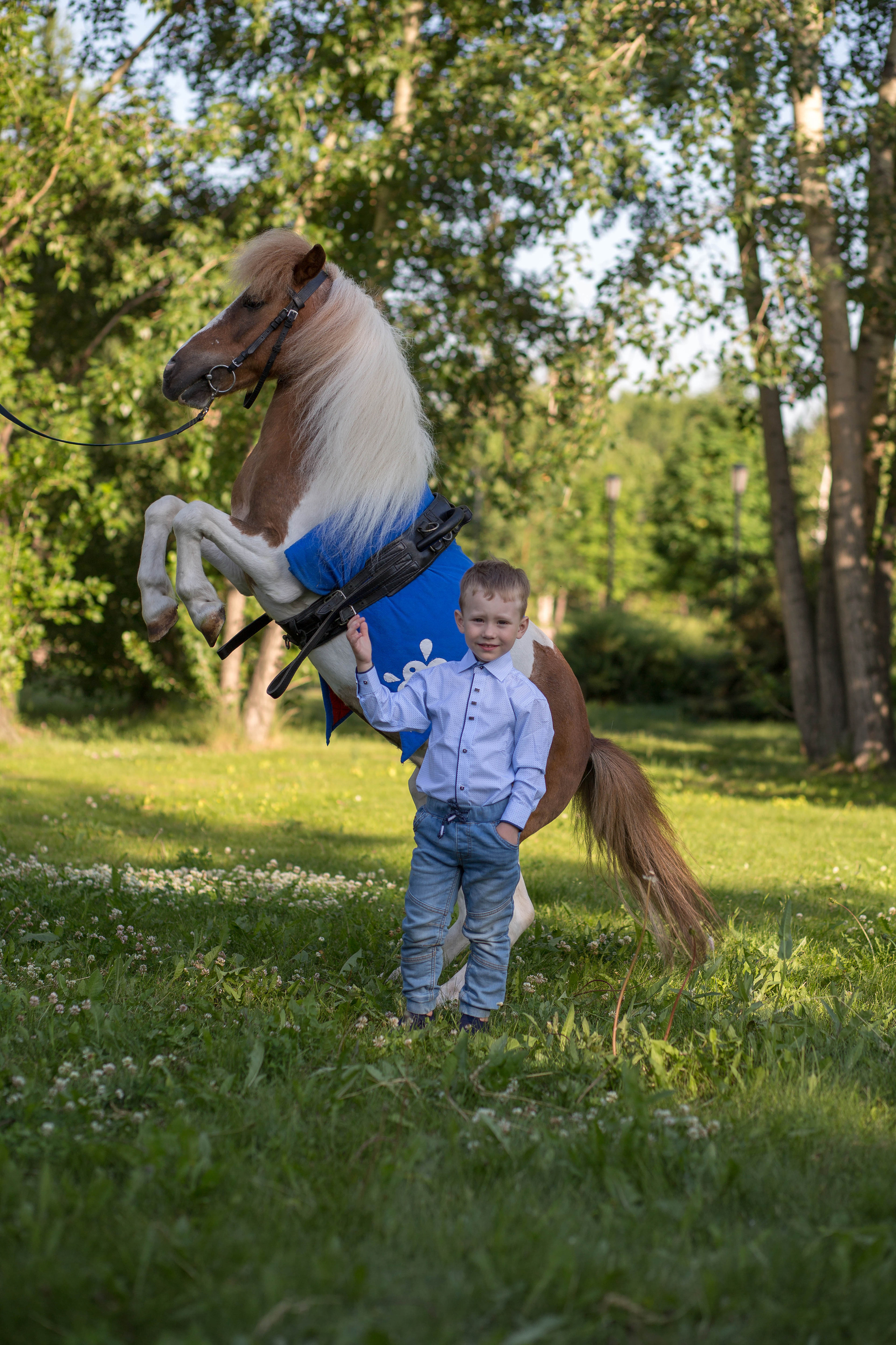 Пони и дети. Конный фотограф в Красноярске — Любовь Похабова