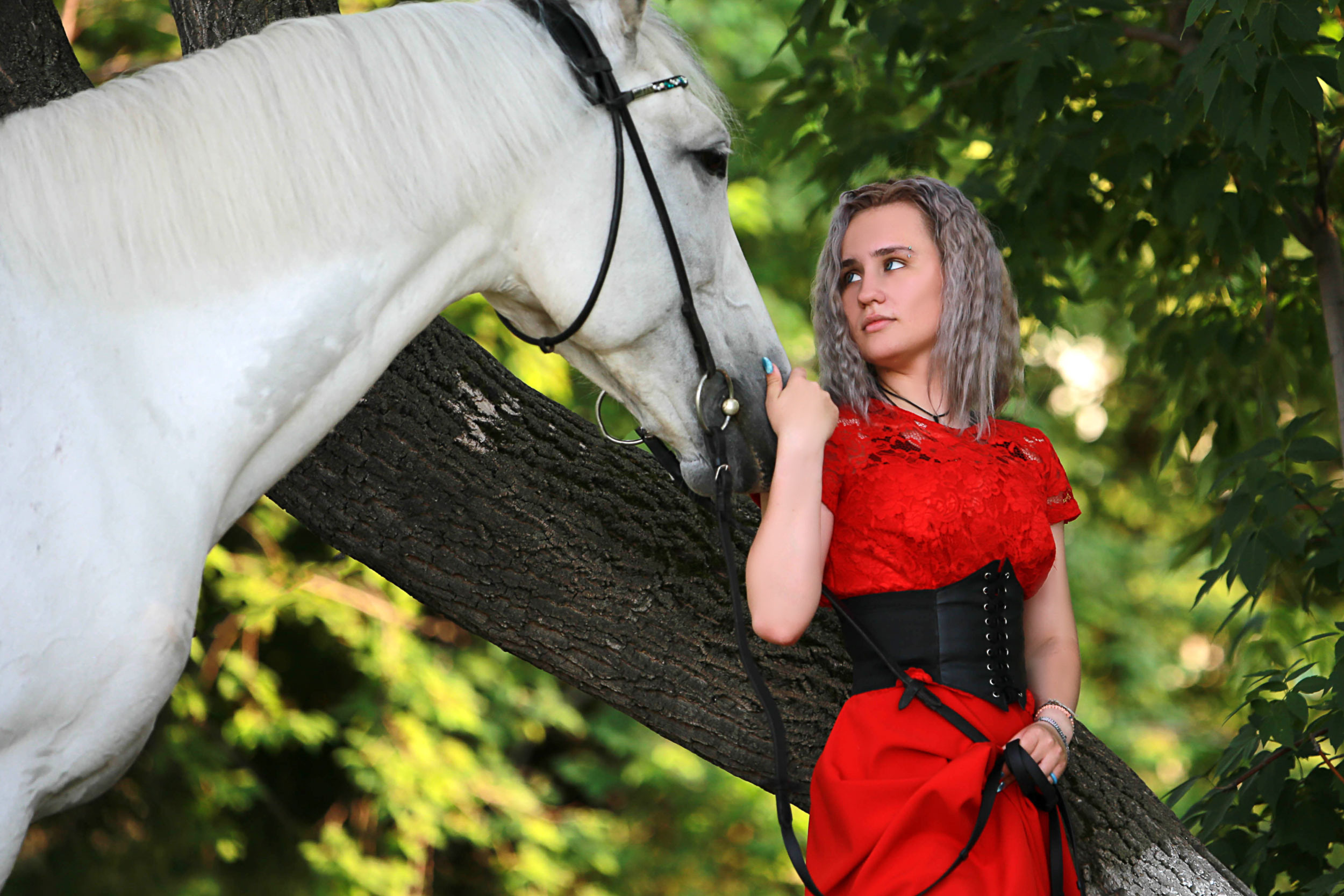 Красноярский ип-м. Конный фотограф в Красноярске — Любовь Похабова