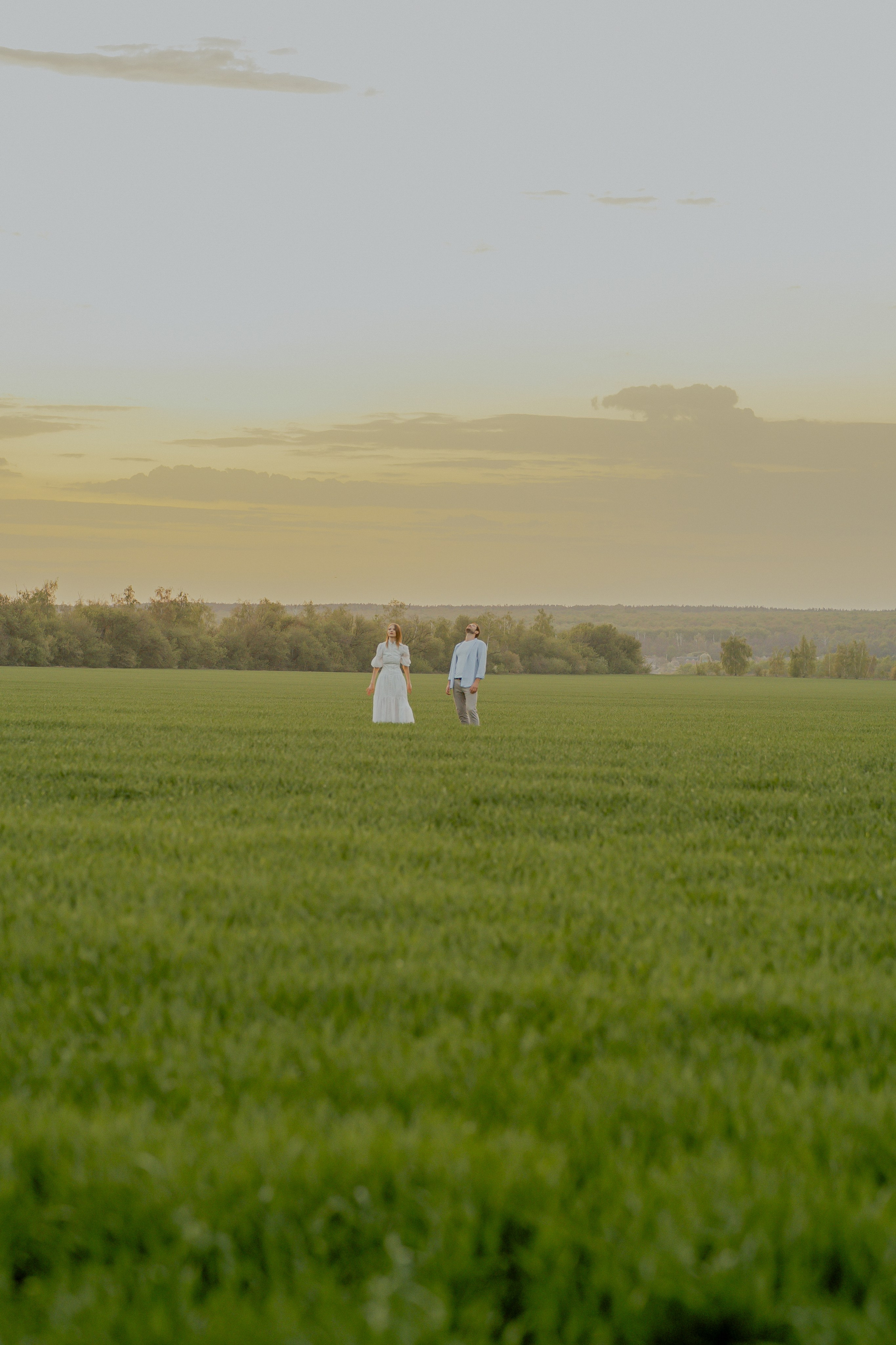Поле. Фотограф Мария Зайчик