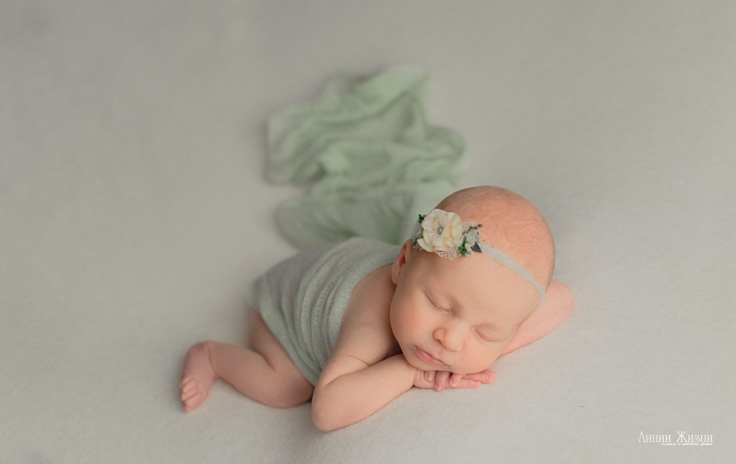 Анна 24 дня. Фотограф новорожденных в Нижнем Новгороде Сергеева Оксана
