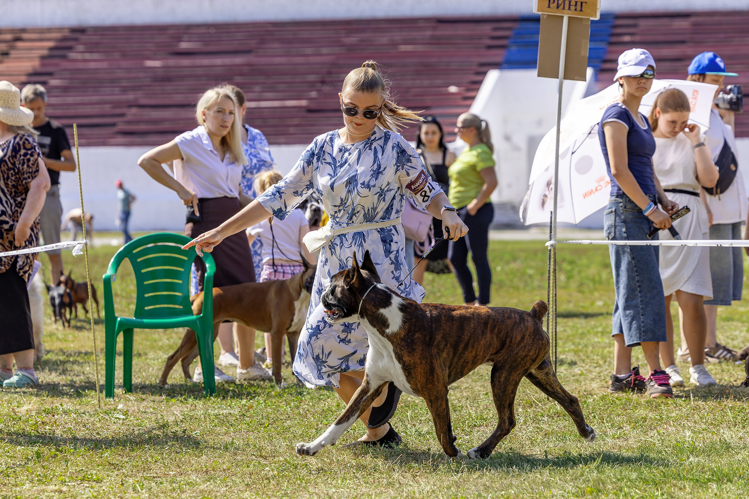 2–3 августа 2025, Выставка РКФ, г. Пермь. Htykk_photo
