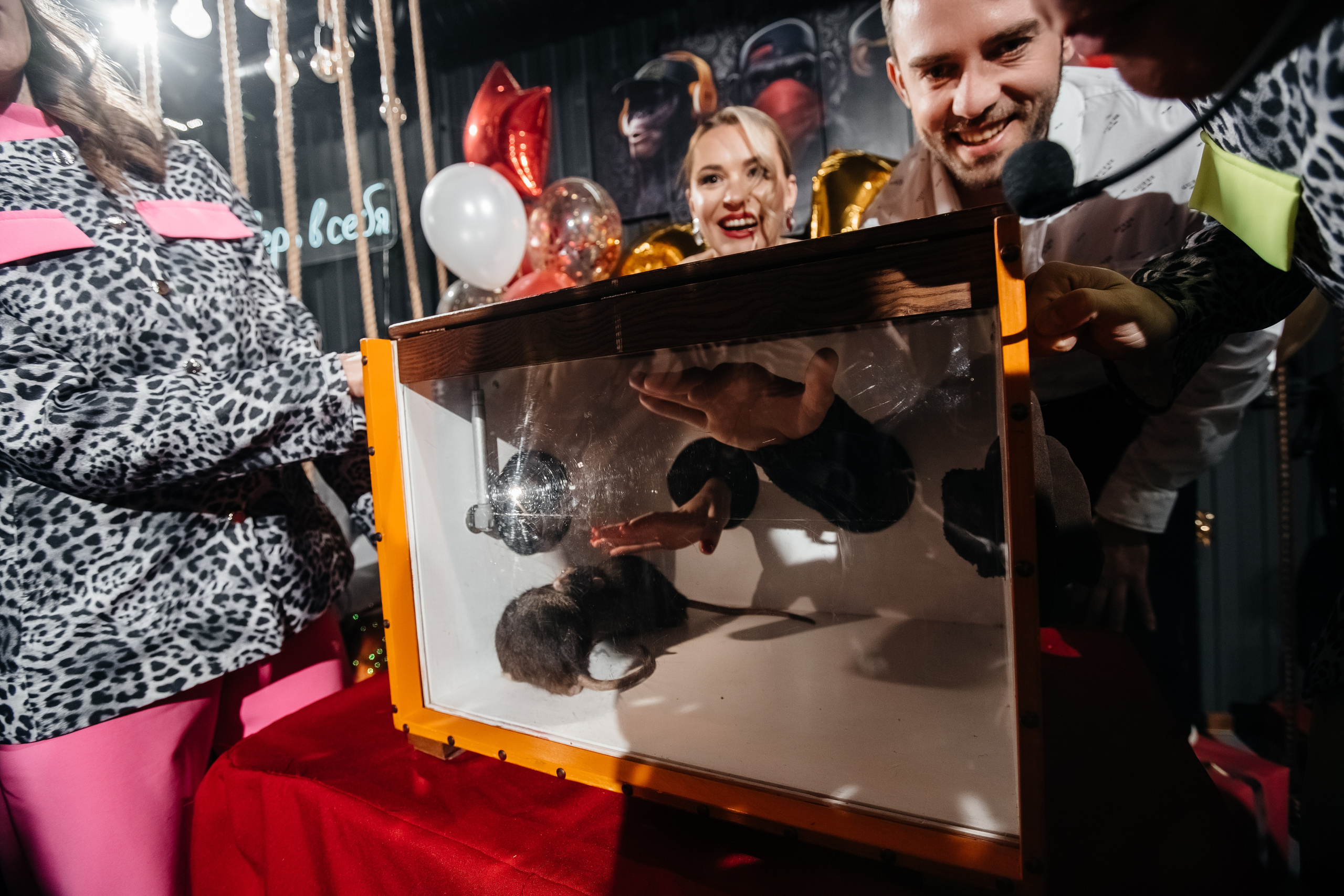 Юбилей Алисы