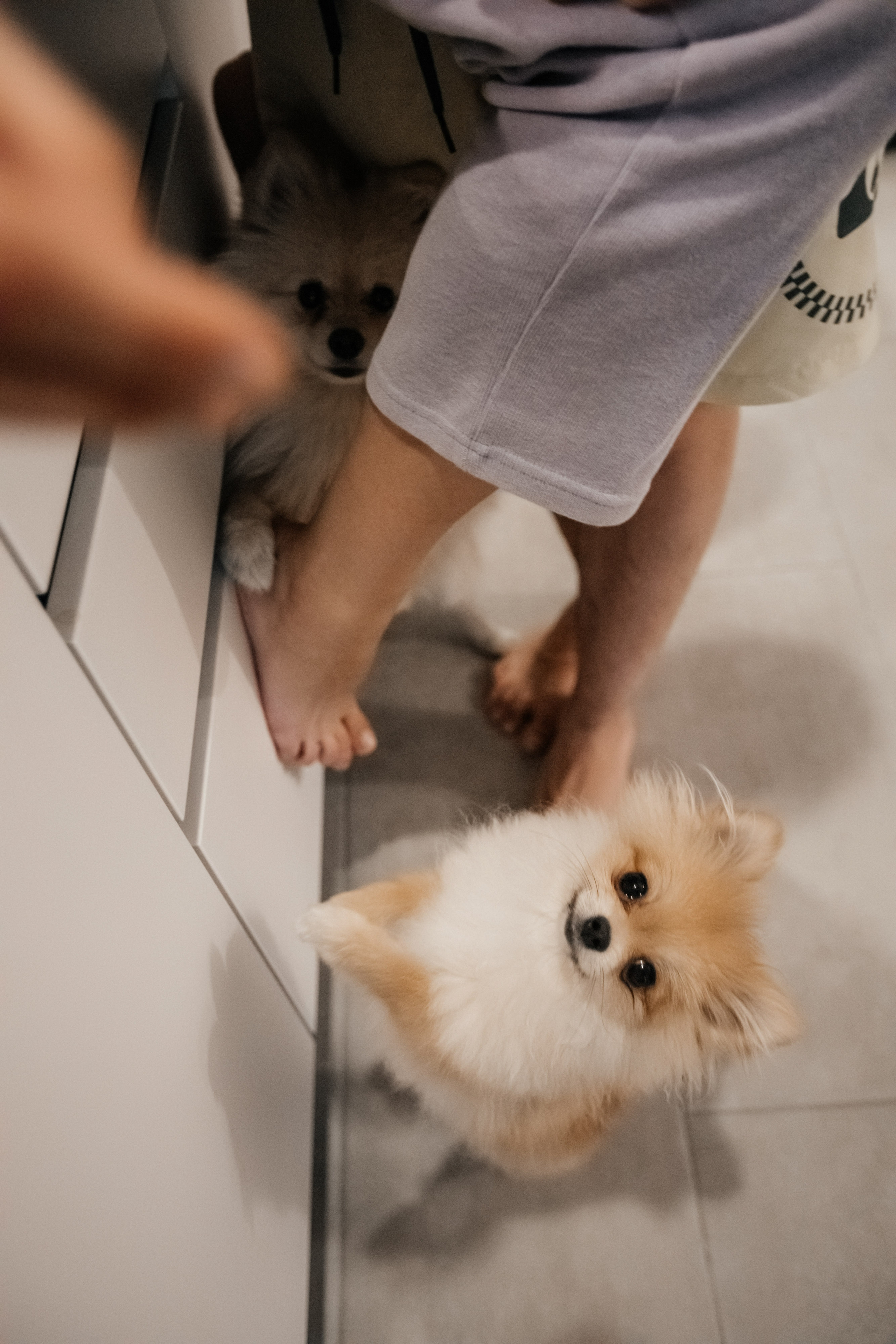 Уютный семейный вечер. Свадебный фотограф Барнаул Алексей Павлов