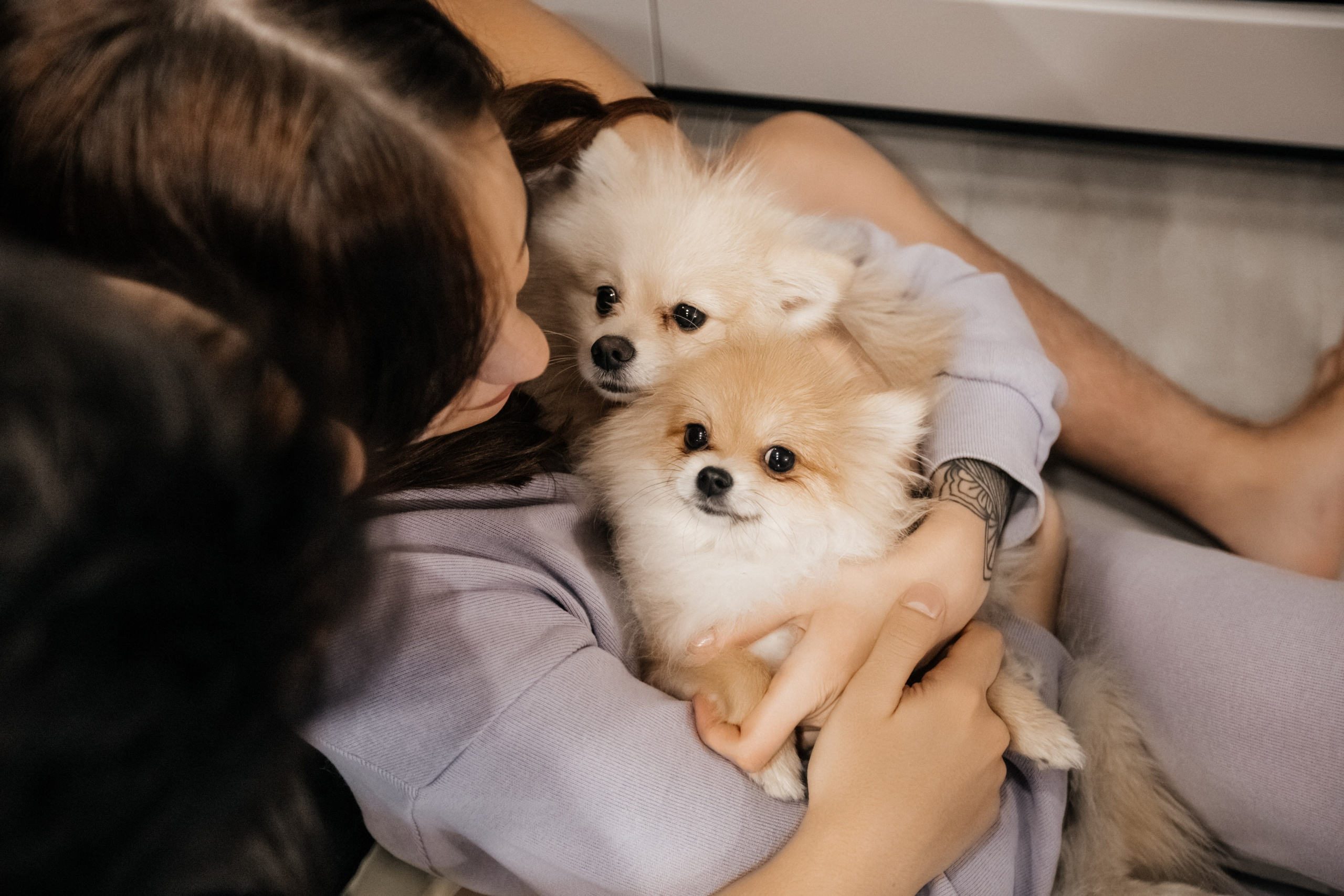 Уютный семейный вечер. Свадебный фотограф Барнаул Алексей Павлов