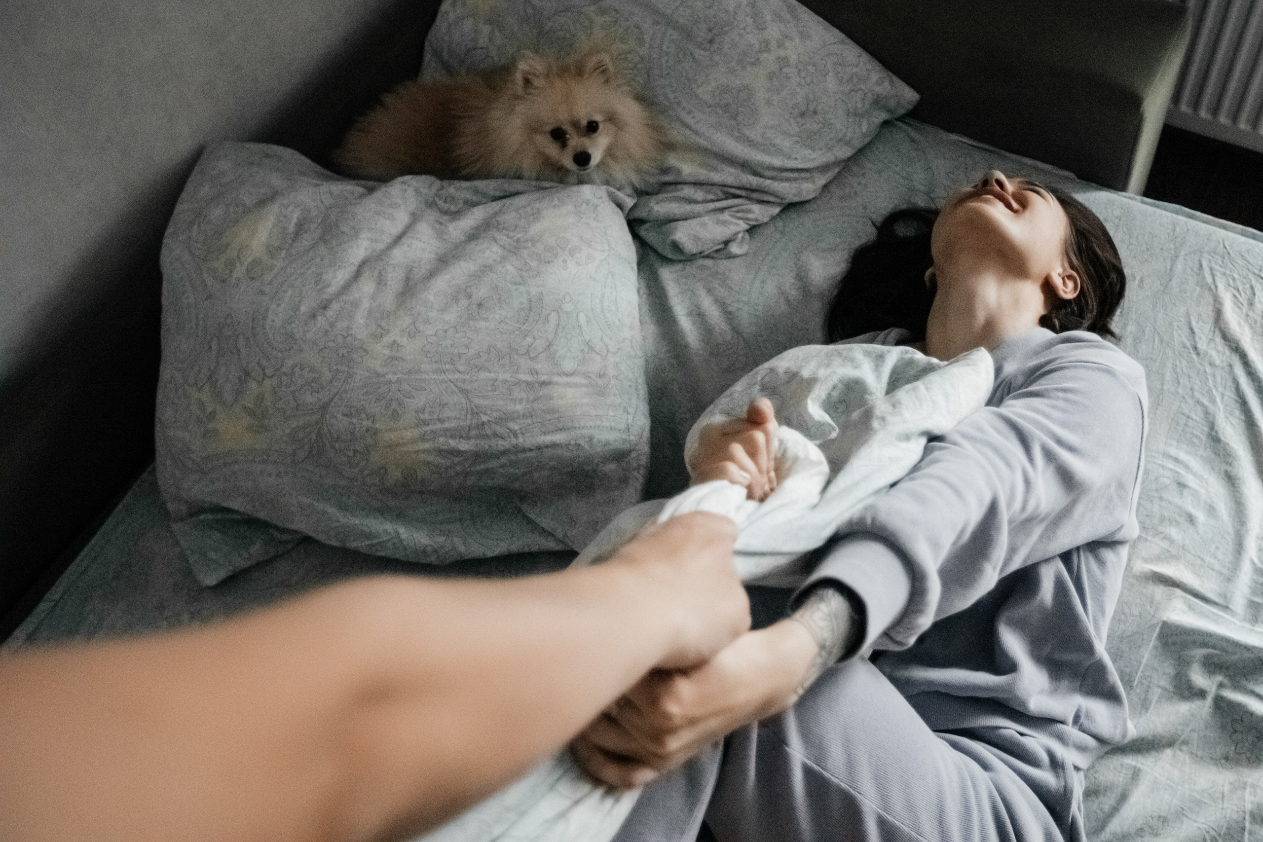 Уютный семейный вечер. Свадебный фотограф Барнаул Алексей Павлов