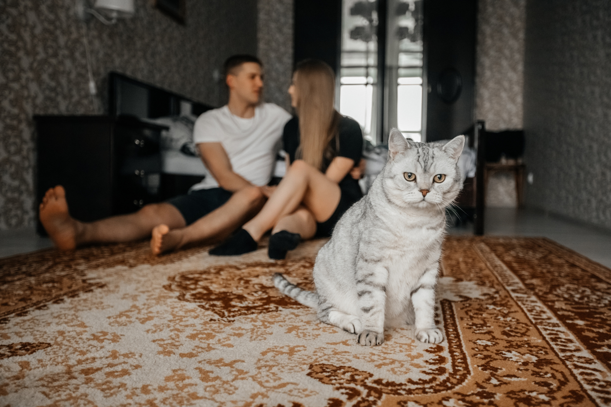 Маленькая история большой любви. Свадебный фотограф Барнаул Алексей Павлов