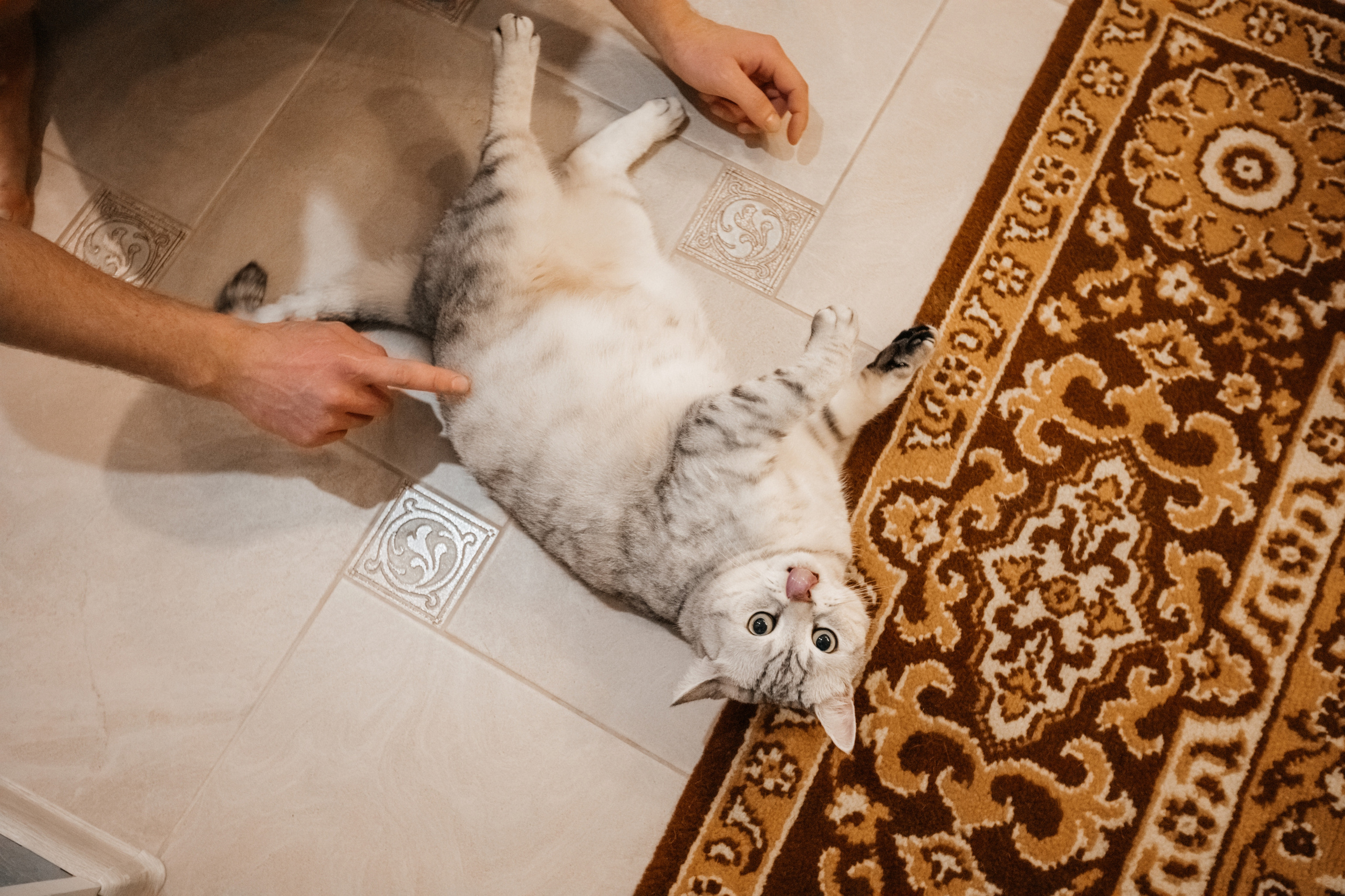 Маленькая история большой любви. Свадебный фотограф Барнаул Алексей Павлов