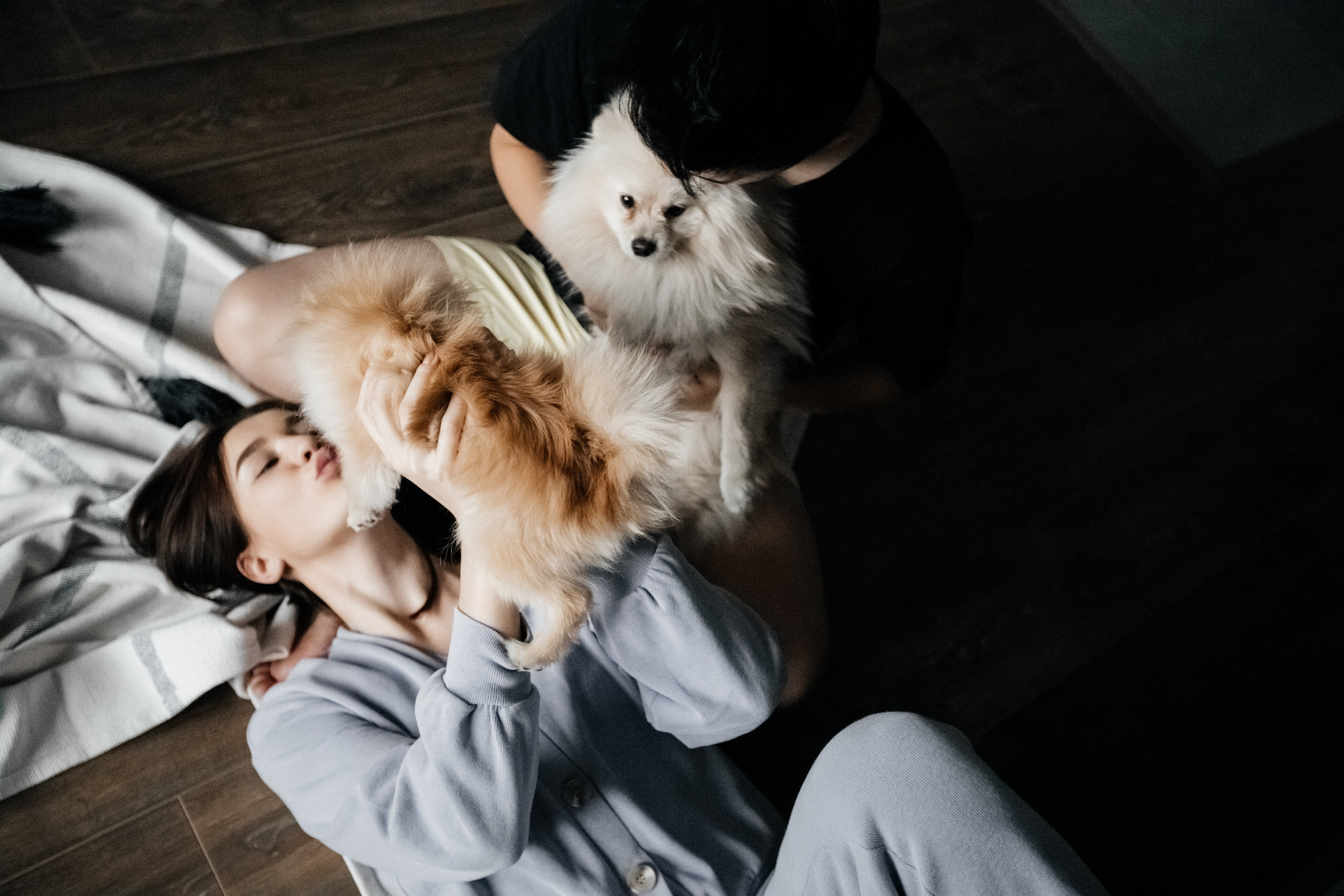 Уютный семейный вечер. Свадебный фотограф Барнаул Алексей Павлов