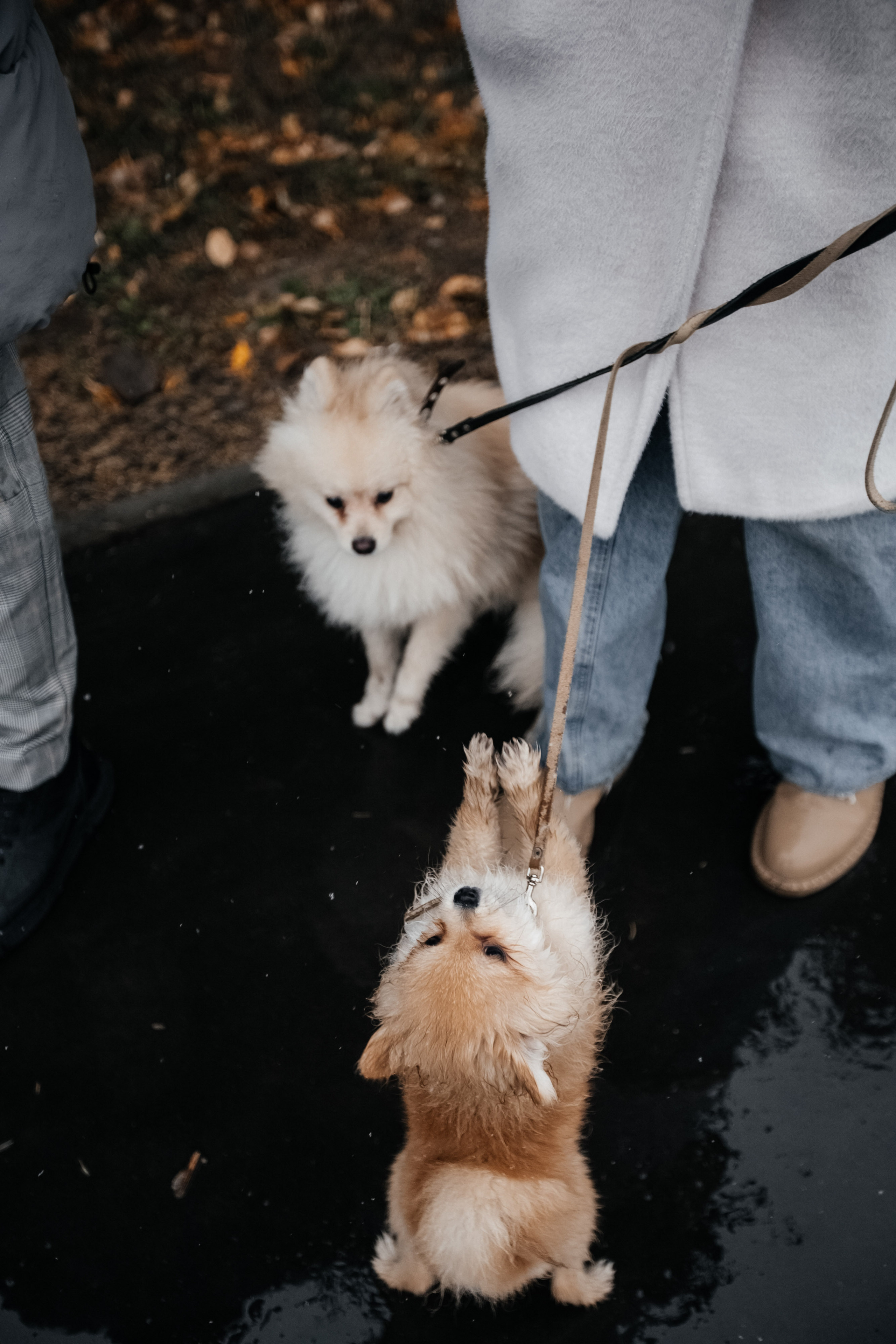 Уютный семейный вечер. Свадебный фотограф Барнаул Алексей Павлов