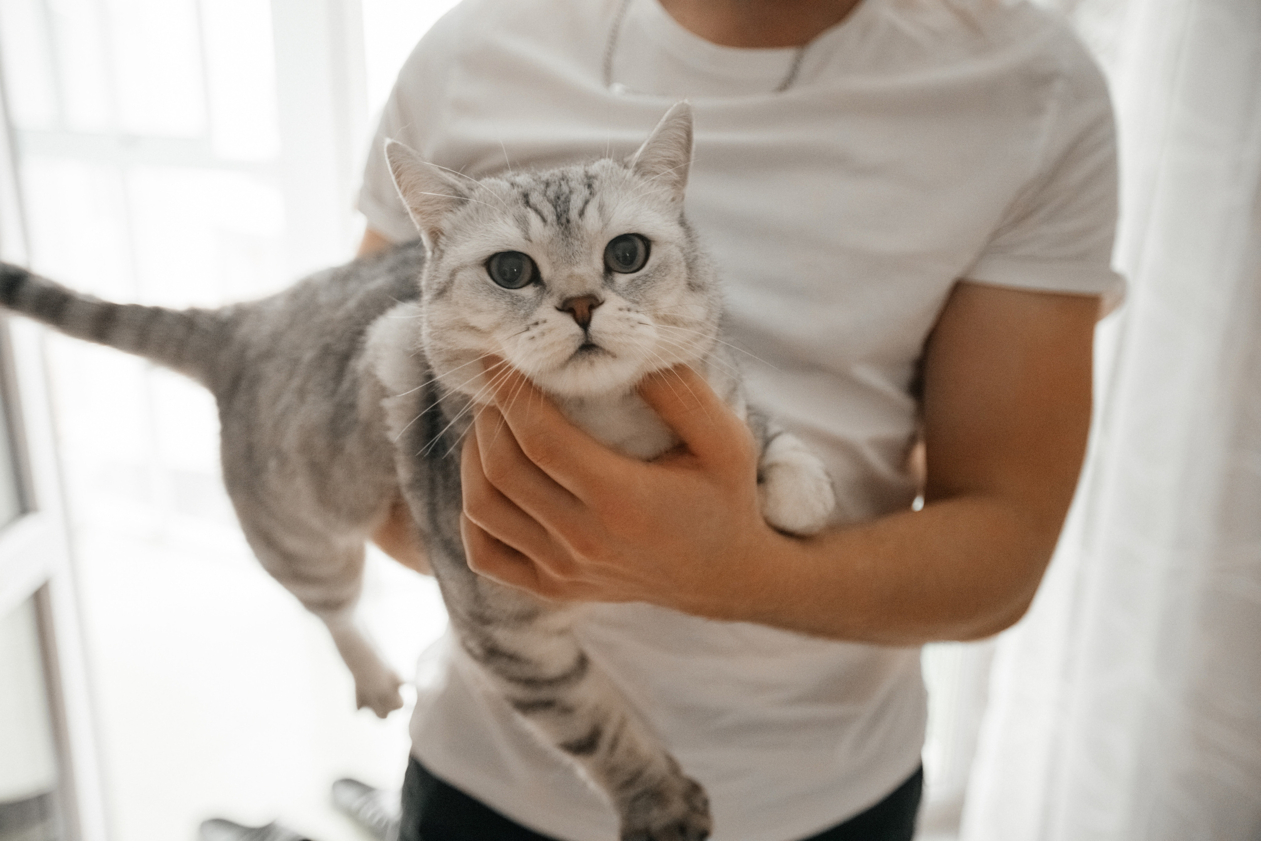 Маленькая история большой любви. Свадебный фотограф Барнаул Алексей Павлов