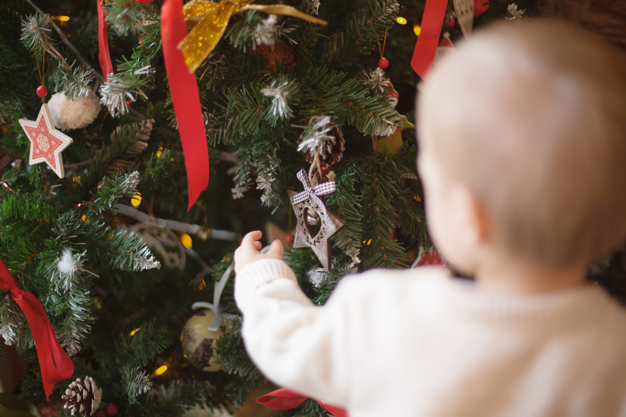 Новый год. Фотограф Анастасия Малеева