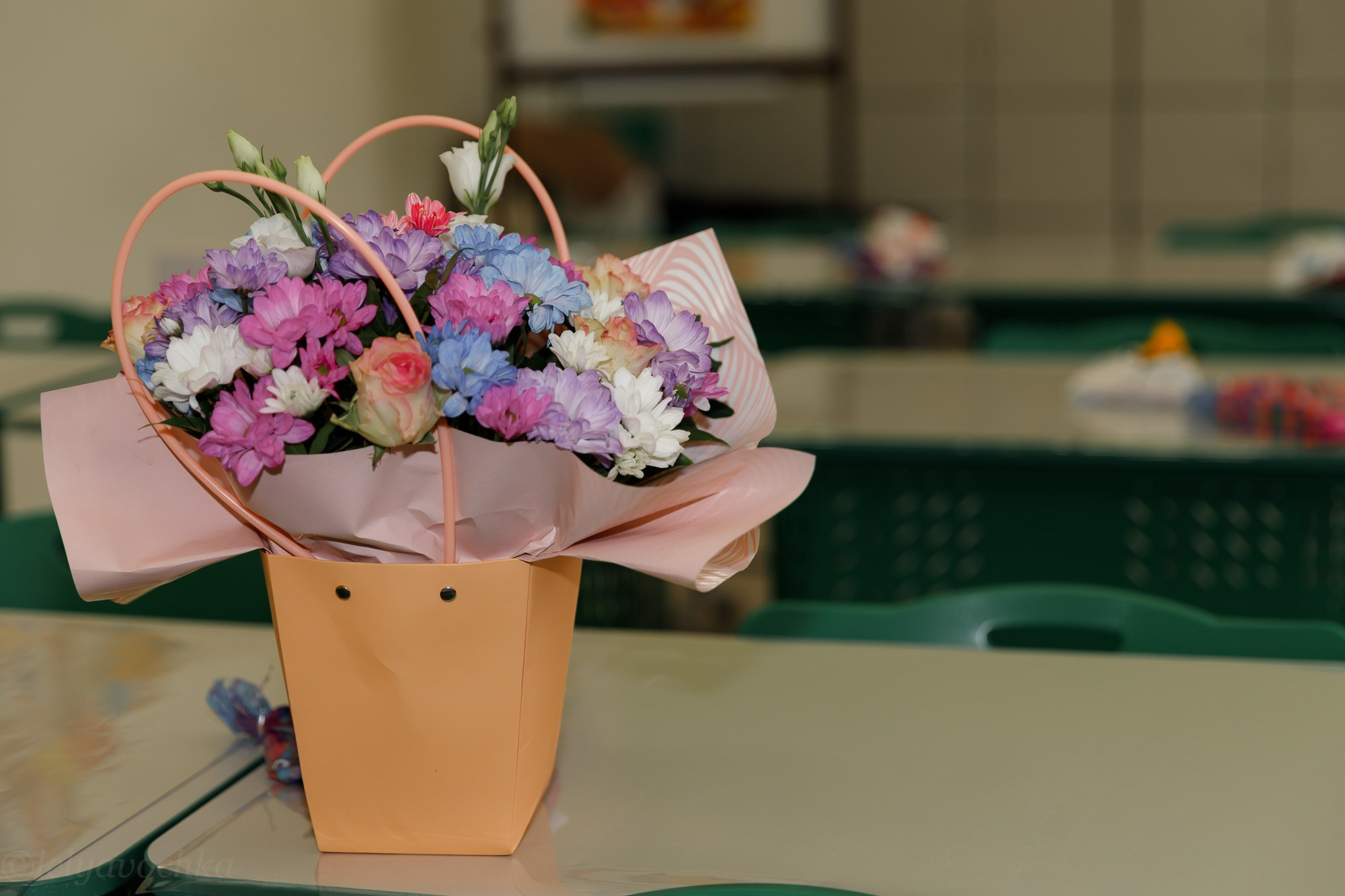 Мастер-класс в школе. Счастливый фотограф Елена Лелявочка Санкт-Петербург