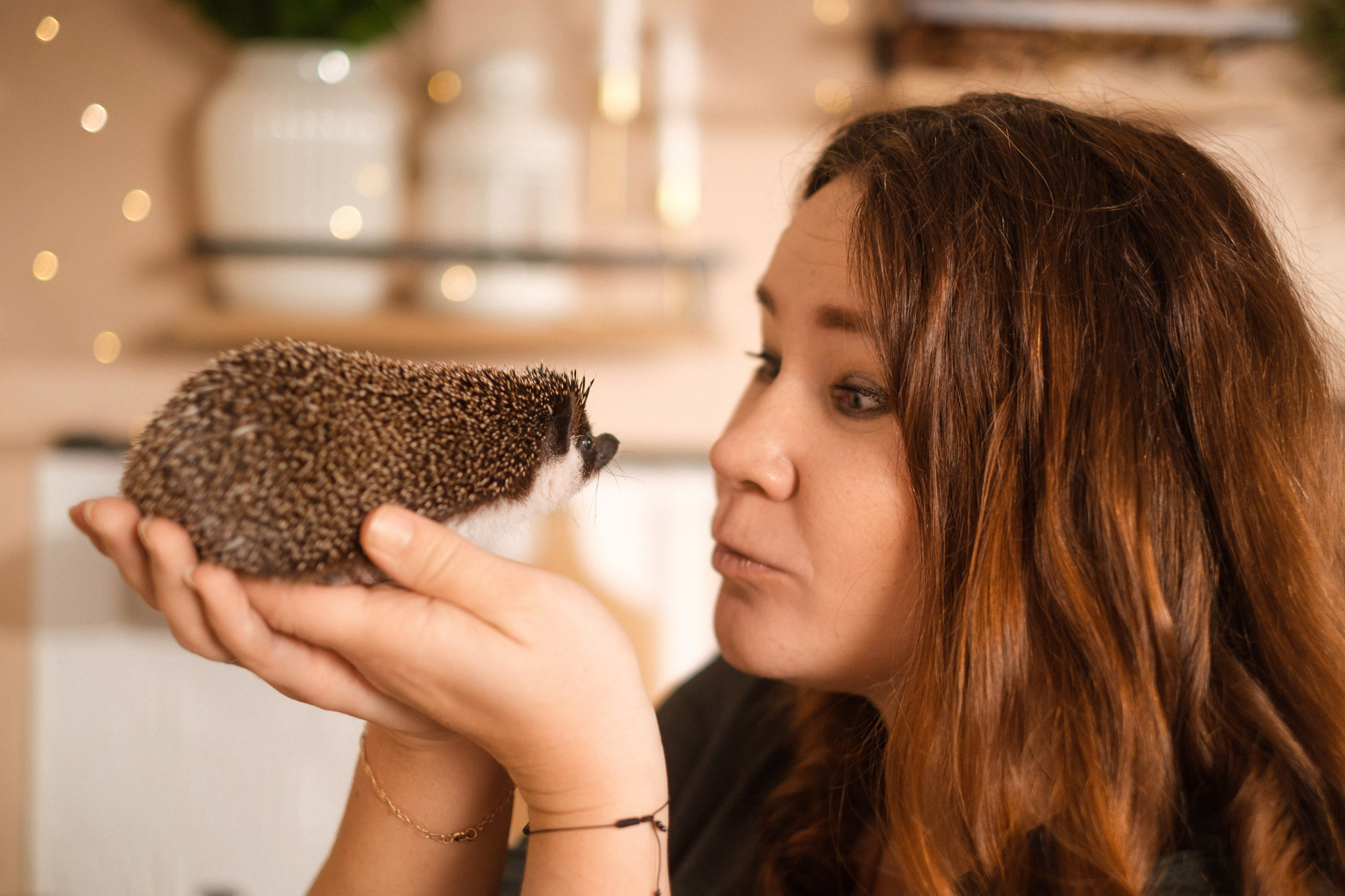 . Фотоёжъ | P H O T O E Z H O G R A P H Y